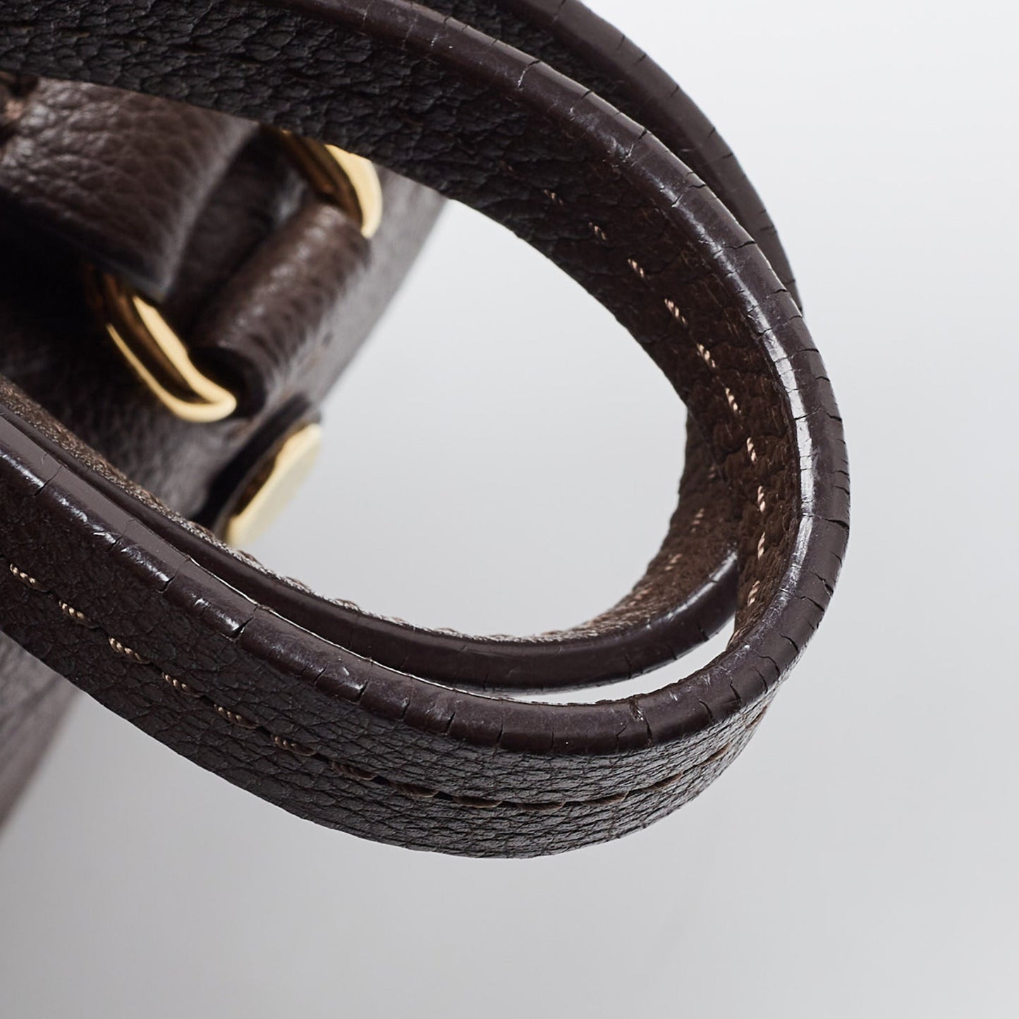 Louis Vuitton Earth Monogram Empreinte Leather Lumineuse Pm Bag