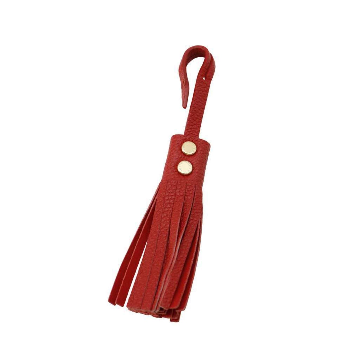 Petite Malle Red Shoulder Bag