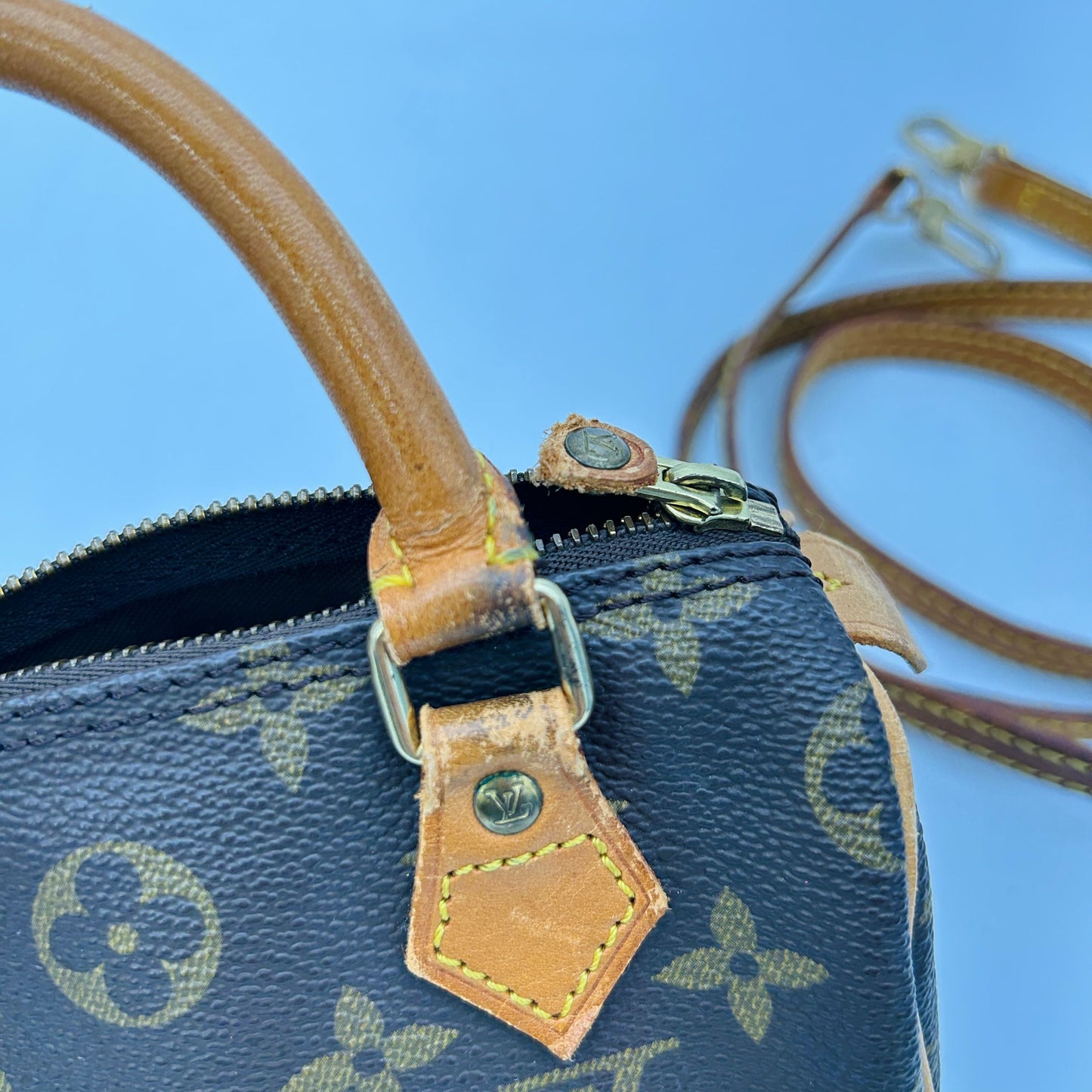 Louis Vuitton Monogram Canvas Speedy Mini Bag GP10166916