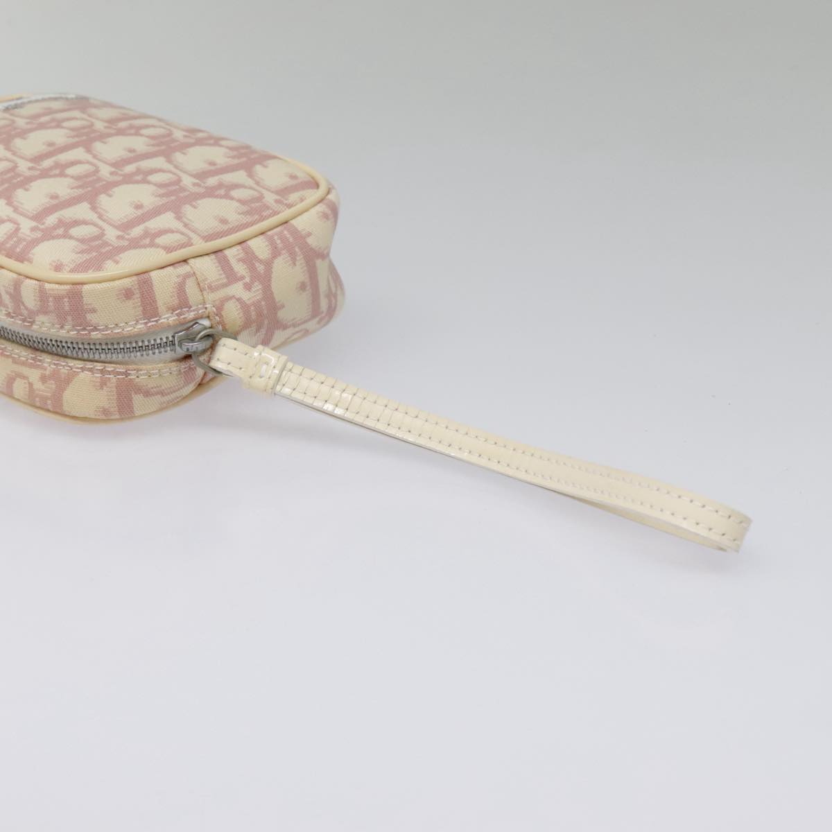 Dior Trotter Canvas Clutch Bag ()