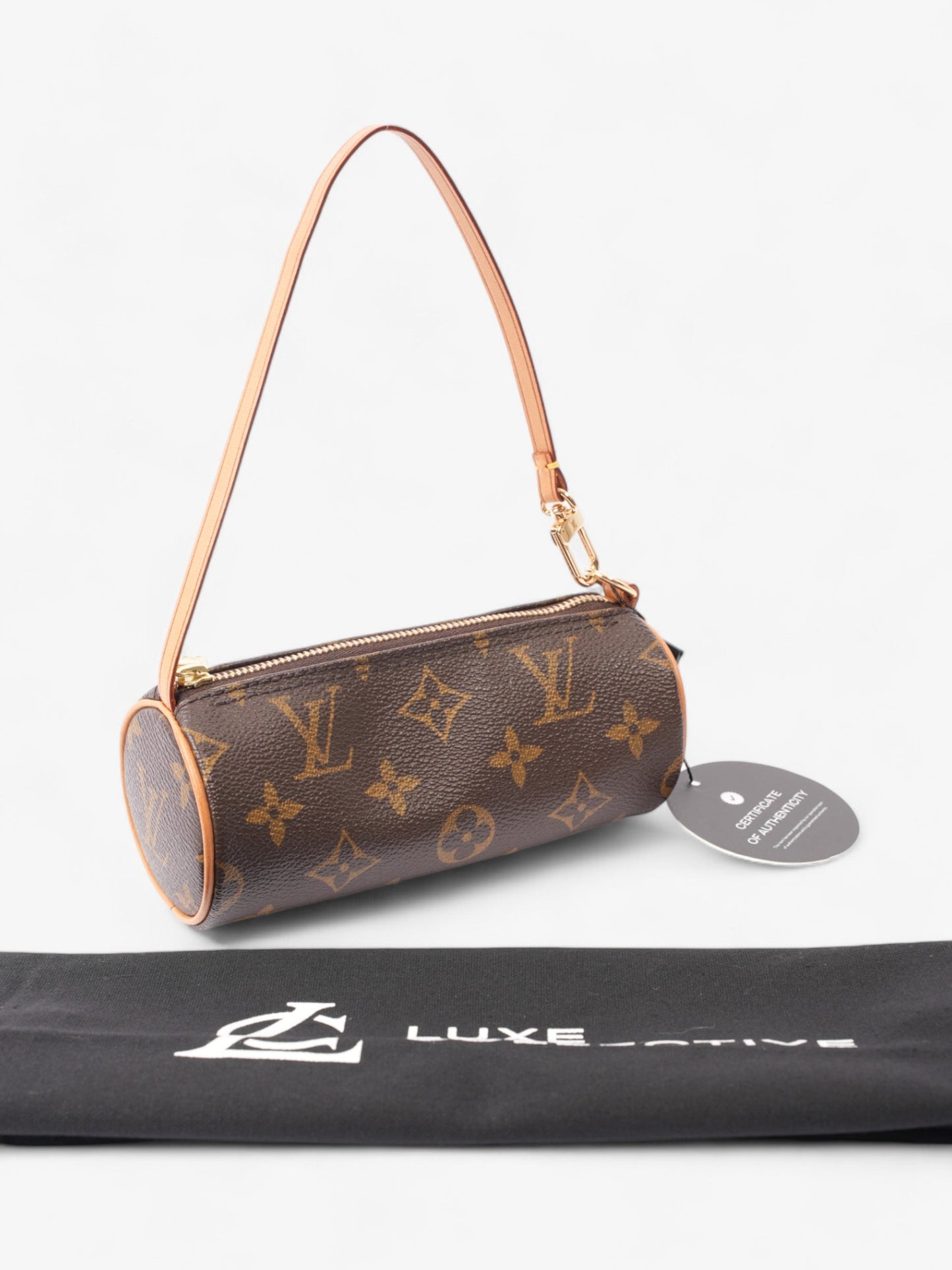 Louis Vuitton Papillon Monogram Coated Canvas Mini
