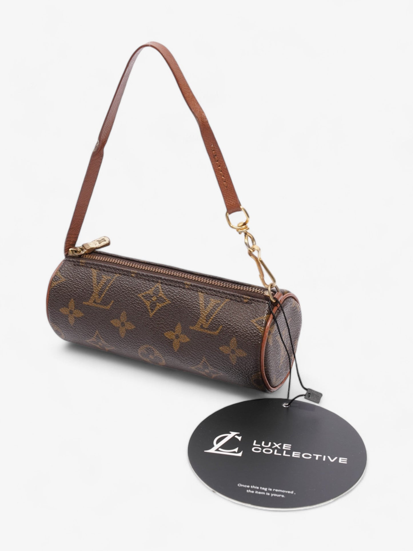 Louis Vuitton Papillon Monogram Coated Canvas Mini