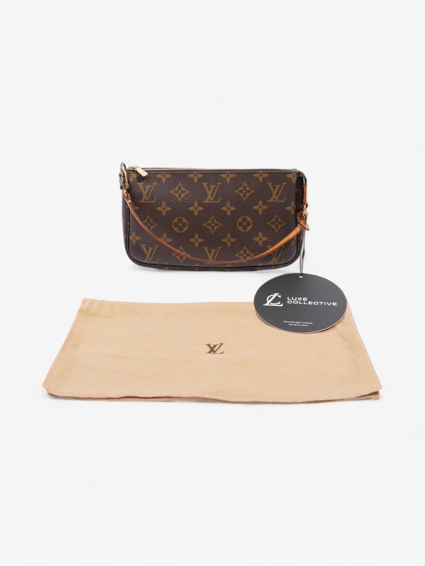 Louis Vuitton Pochette Accessoires Monogram Coated Canvas