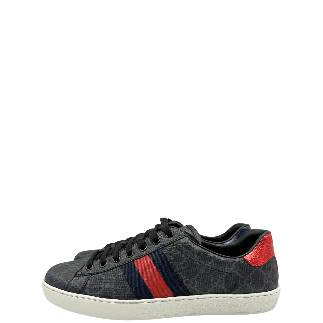 Scarpe Gucci n.43