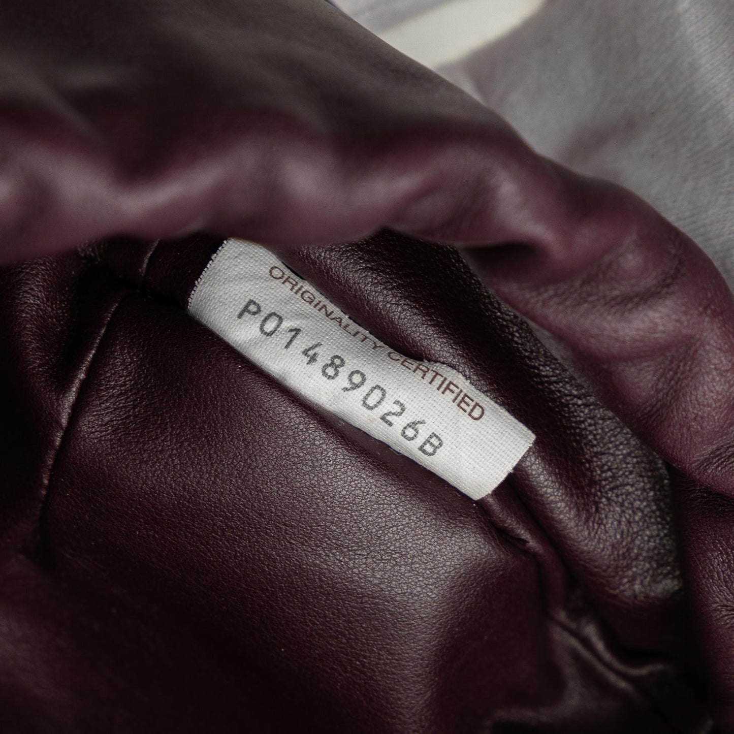 Bottega Veneta Mini The Bulb (SHG-Wsh1XL)