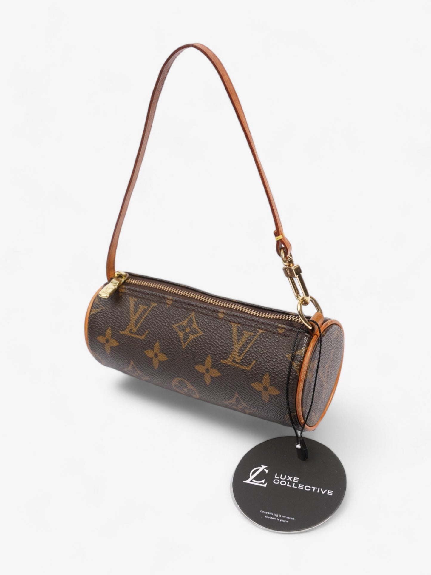Louis Vuitton Papillon Monogram Coated Canvas Mini
