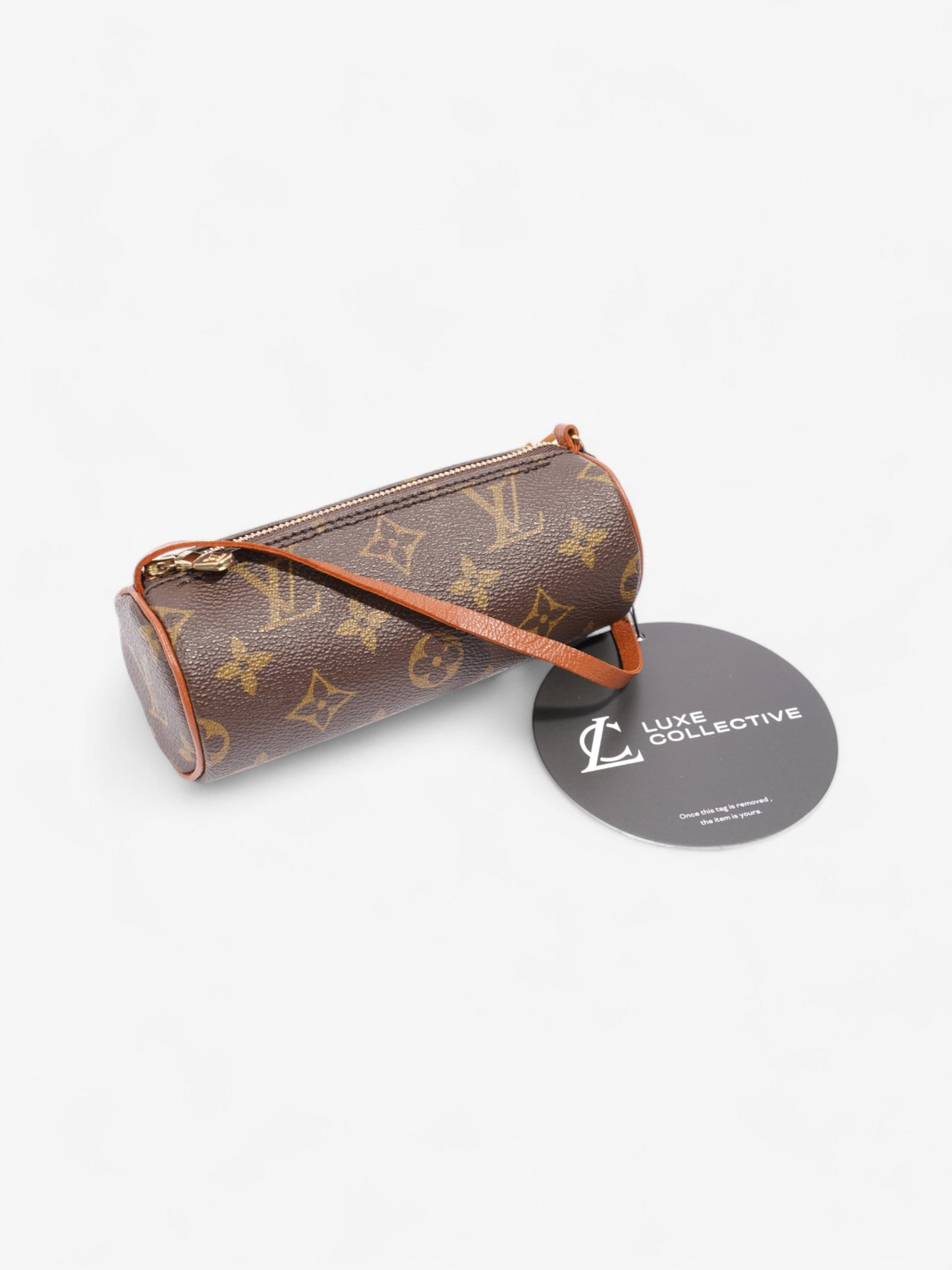 Louis Vuitton Papillon Monogram Coated Canvas Mini