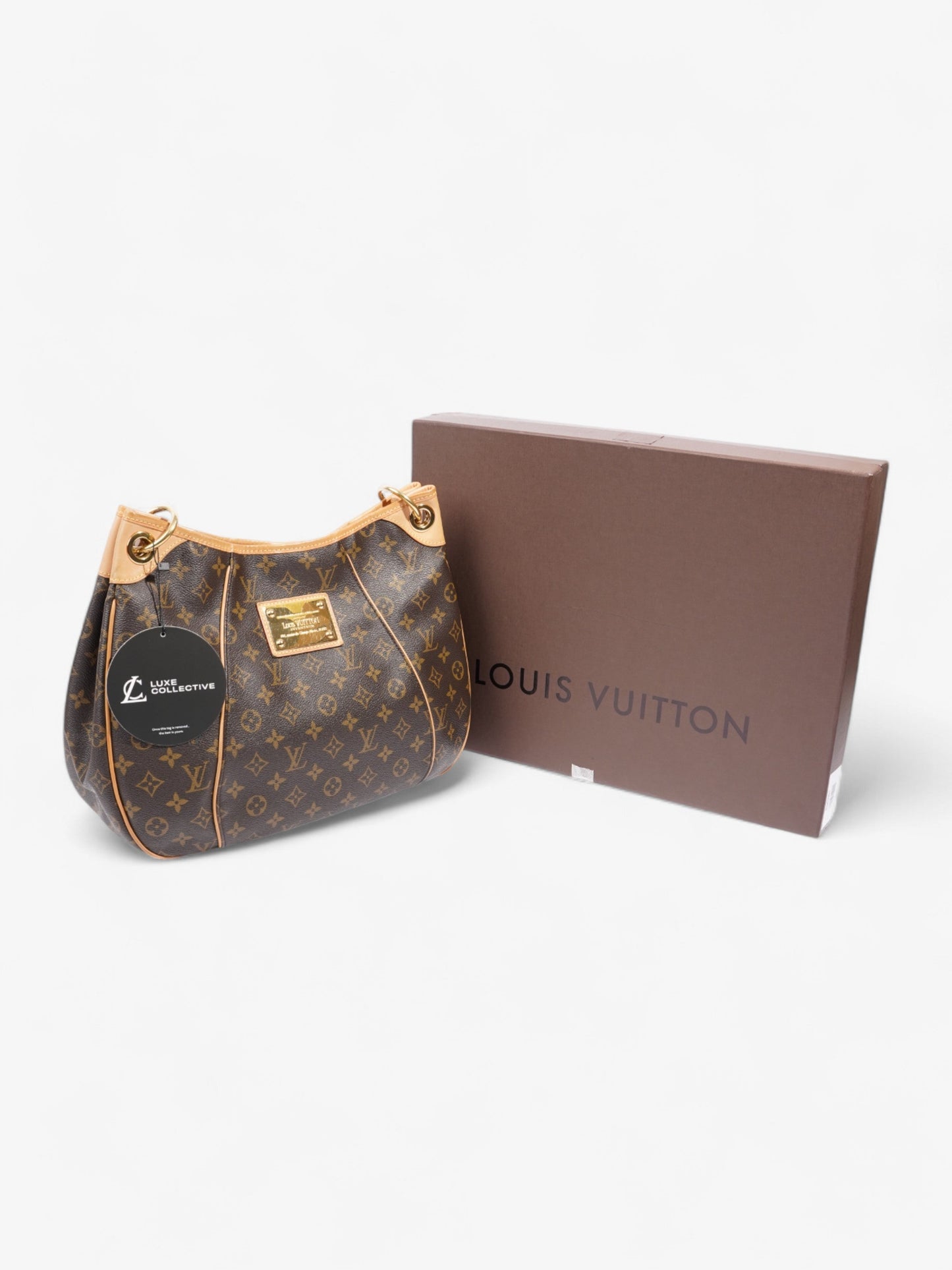 Louis Vuitton Galliera Monogram Coated Canvas PM