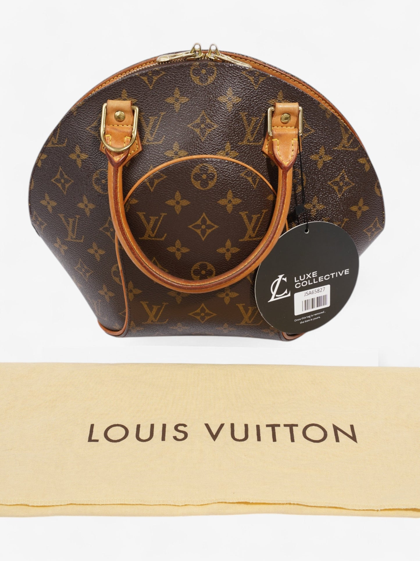 Louis Vuitton Ellipse Monogram Canvas PM