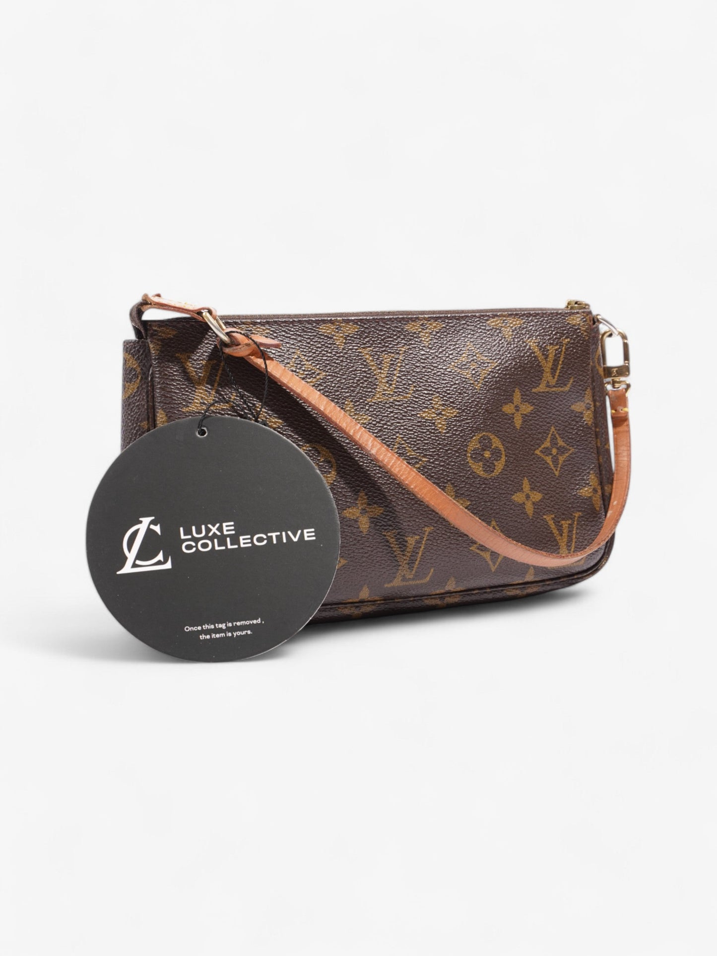 Louis Vuitton Pochette Accessoires Monogram Coated Canvas