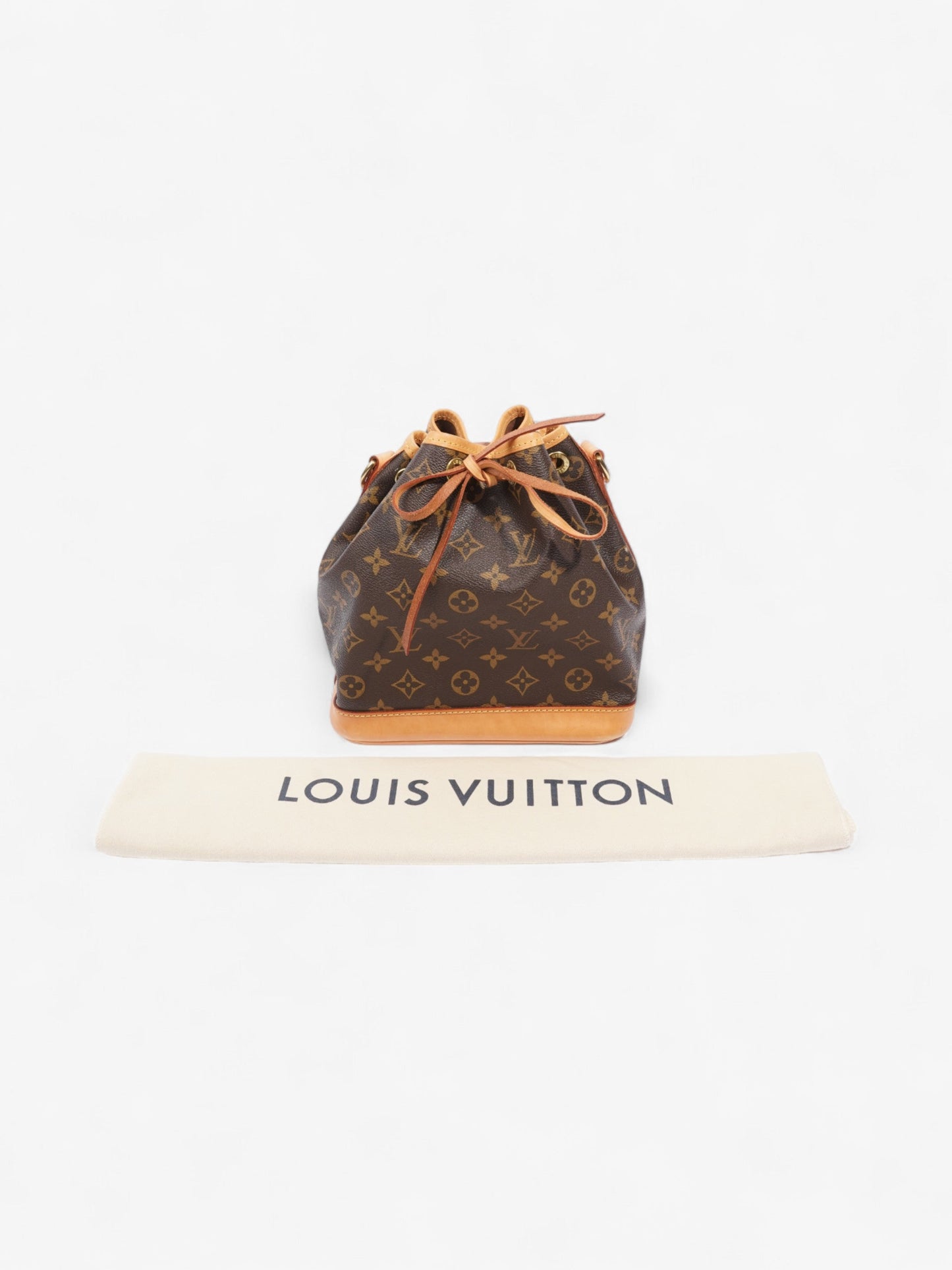 Louis Vuitton No茅 BB Bucket Monogram Coated Canvas