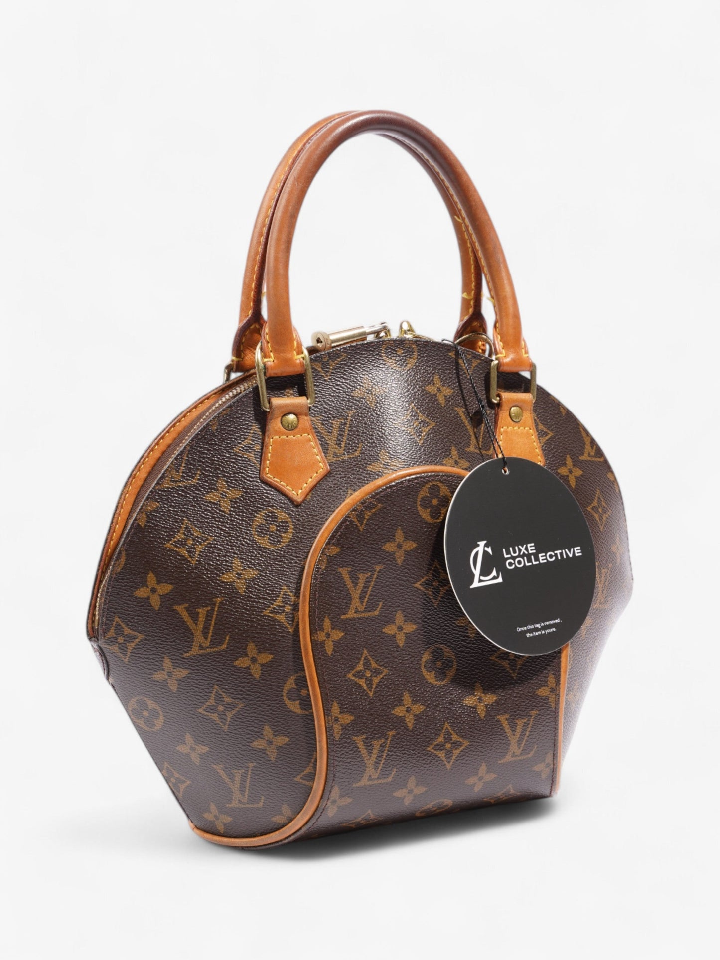 Louis Vuitton Ellipse Monogram Coated Canvas PM