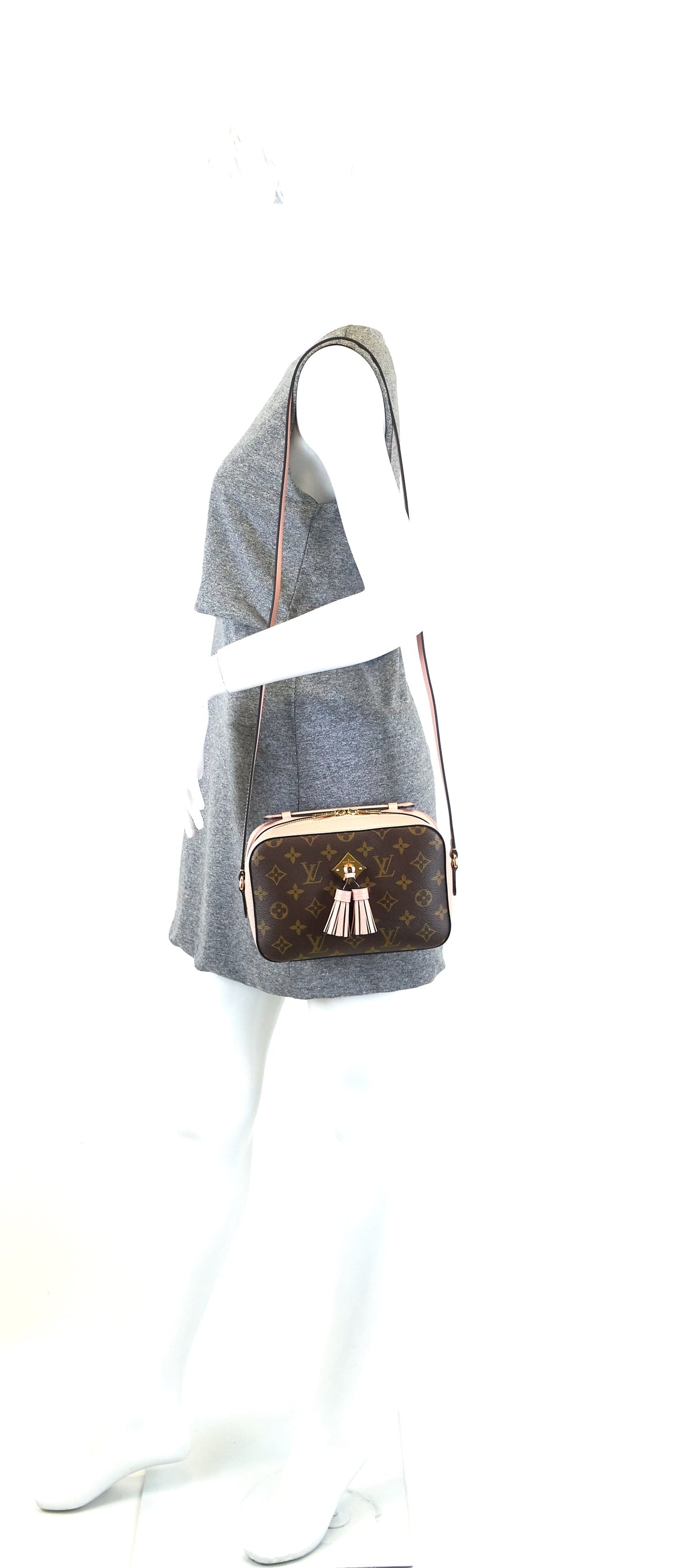 Louis Vuitto Saintonge Monogram Canvas and Calf Leather Bag