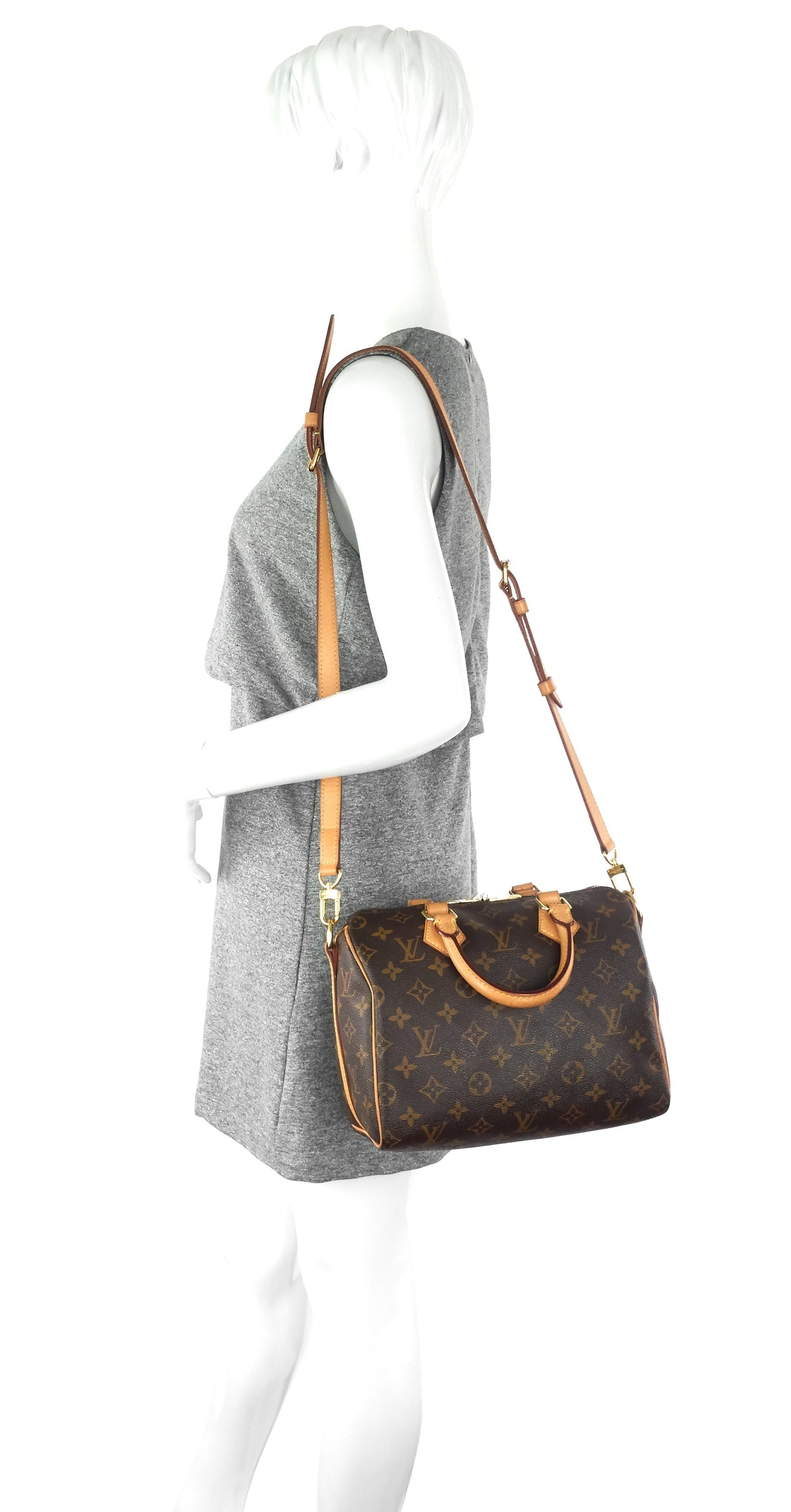 Louis Vuitto Speedy Bandoulière 25 Monogram Canvas Bag