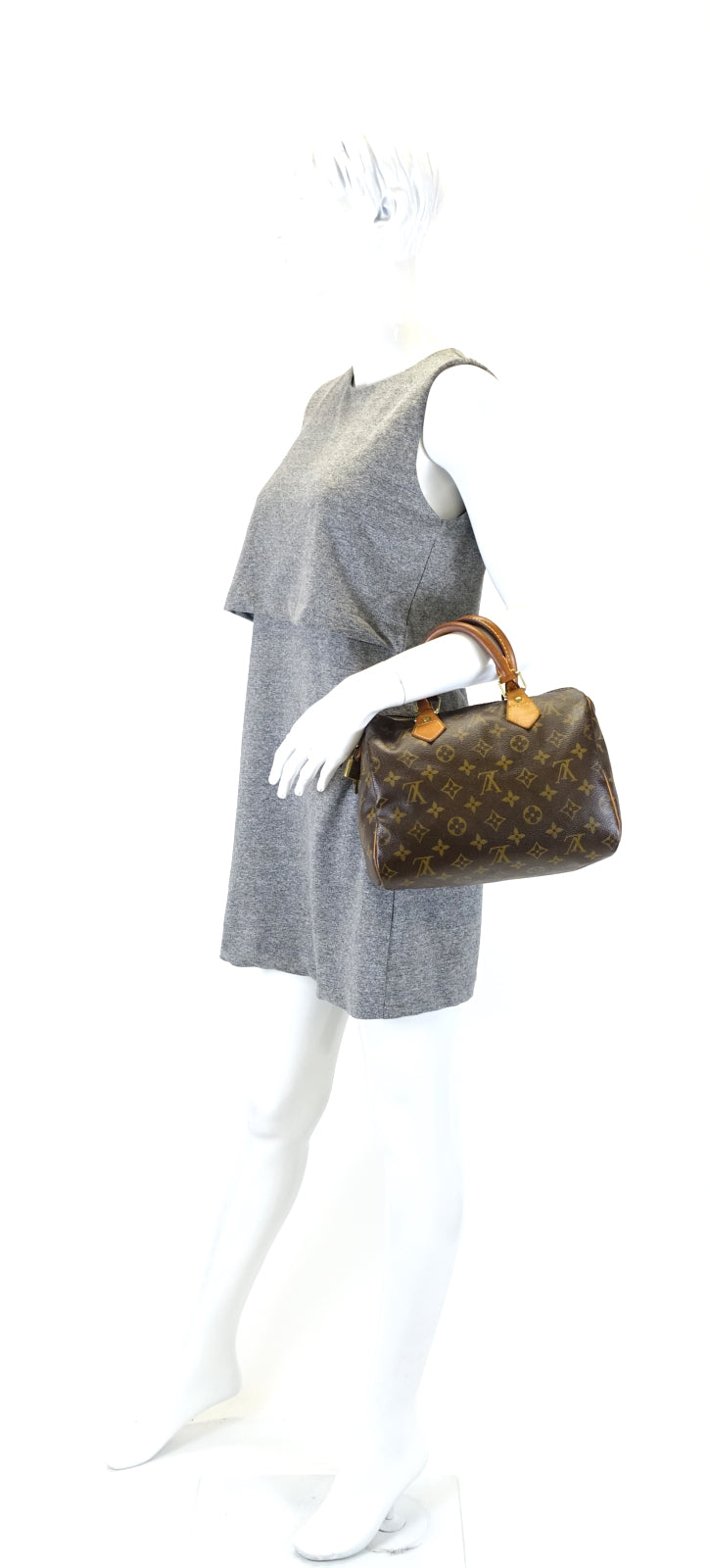 Louis Vuitto Speedy 25 Monogram Canvas Bag