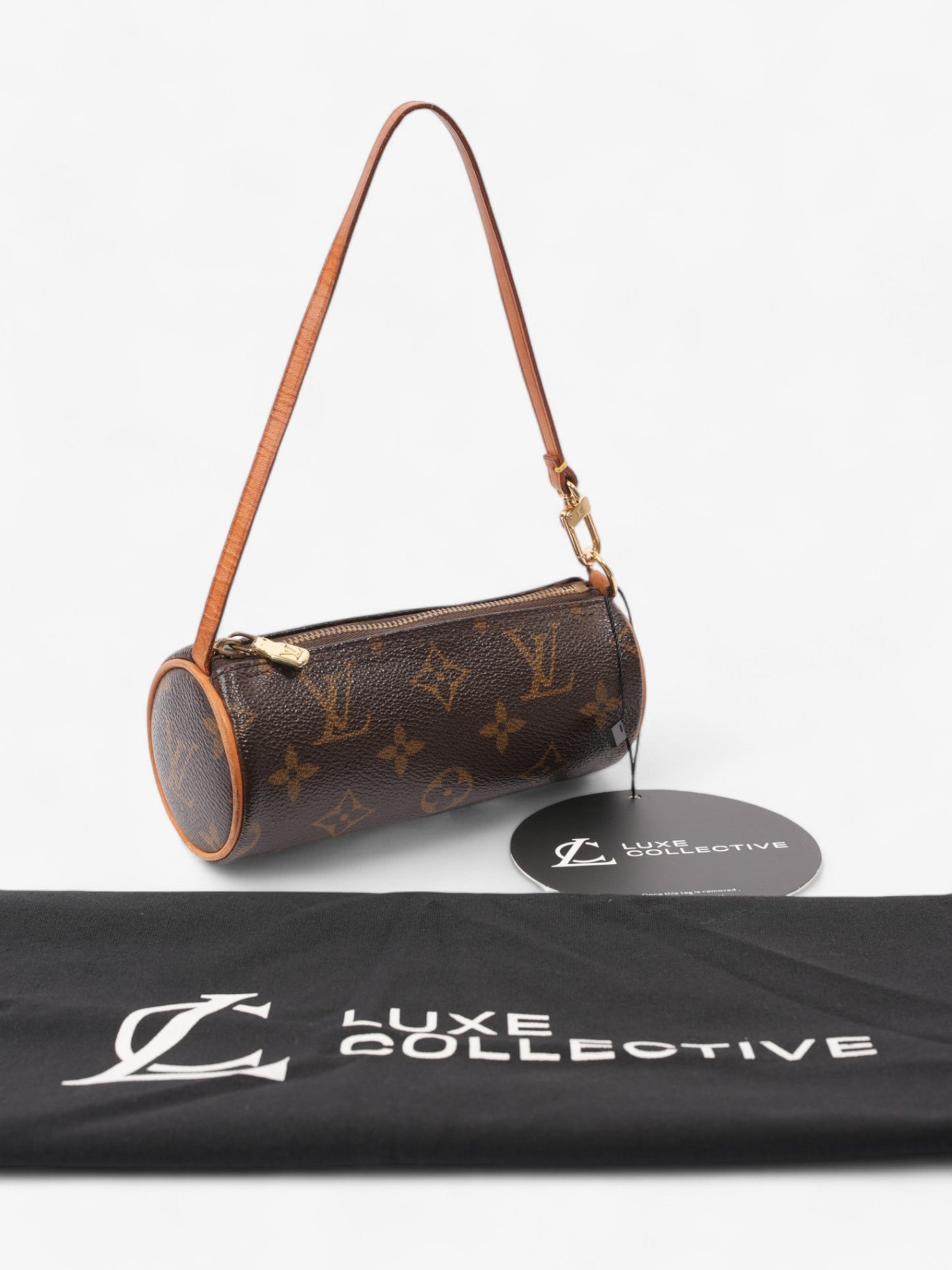 Louis Vuitton Papillon Monogram Coated Canvas Mini