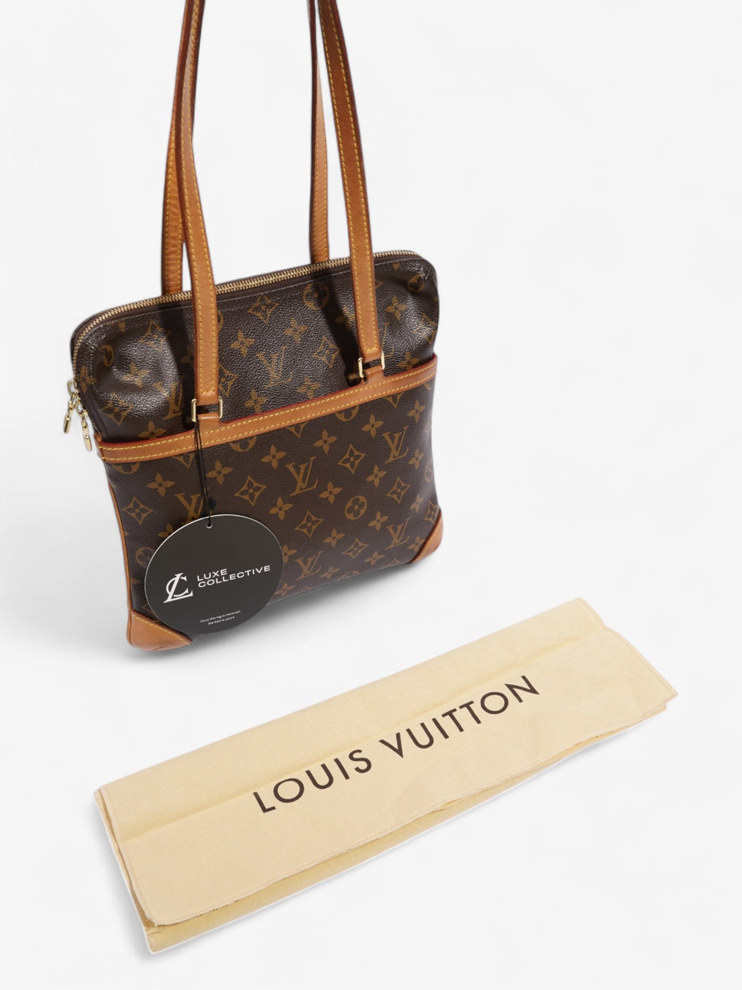 Louis Vuitton Sac Coussin Monogram Coated Canvas GM