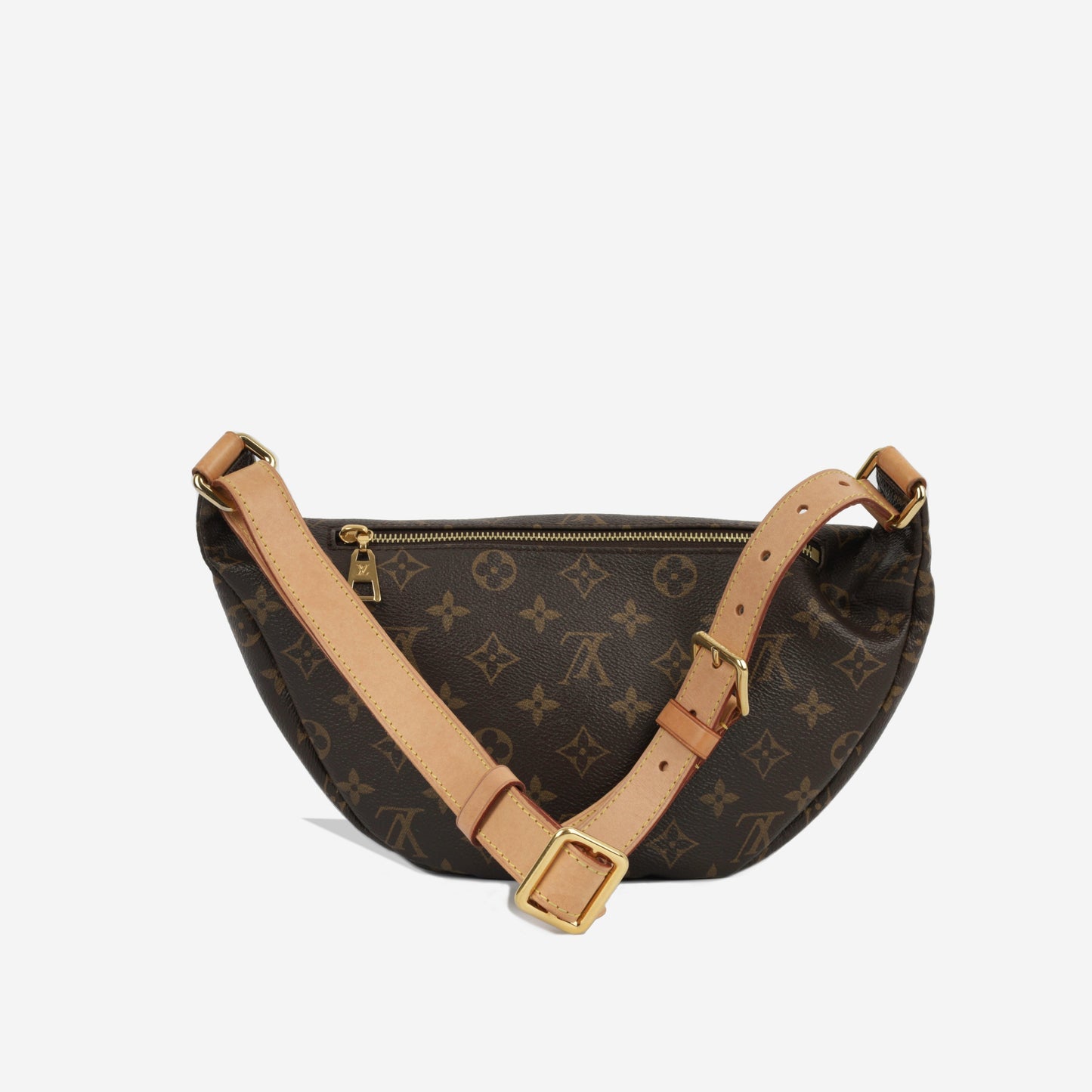Louis Vuitton Bumbag - Monogram Canvas
