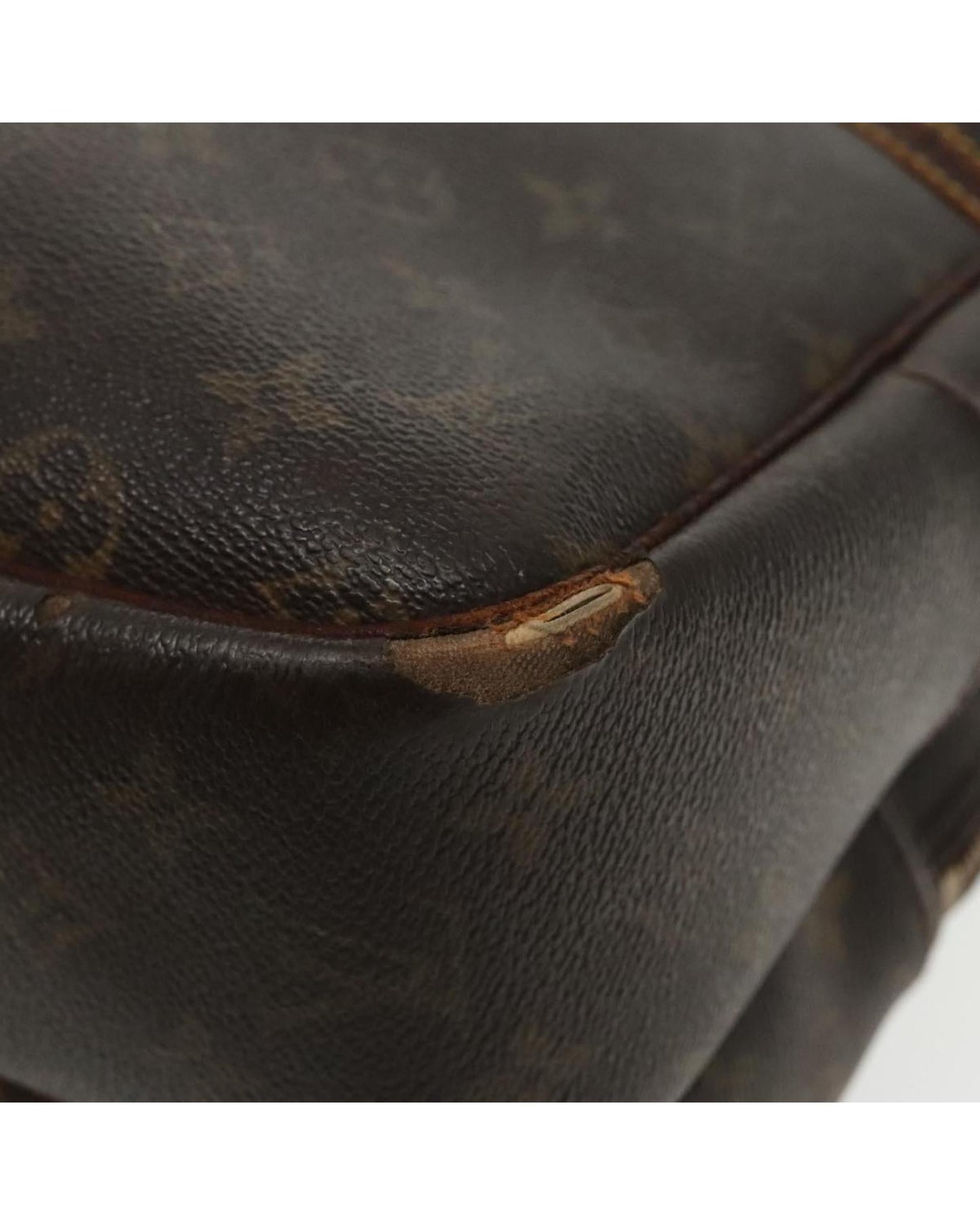 Monogram Reporter GM Shoulder Bag
