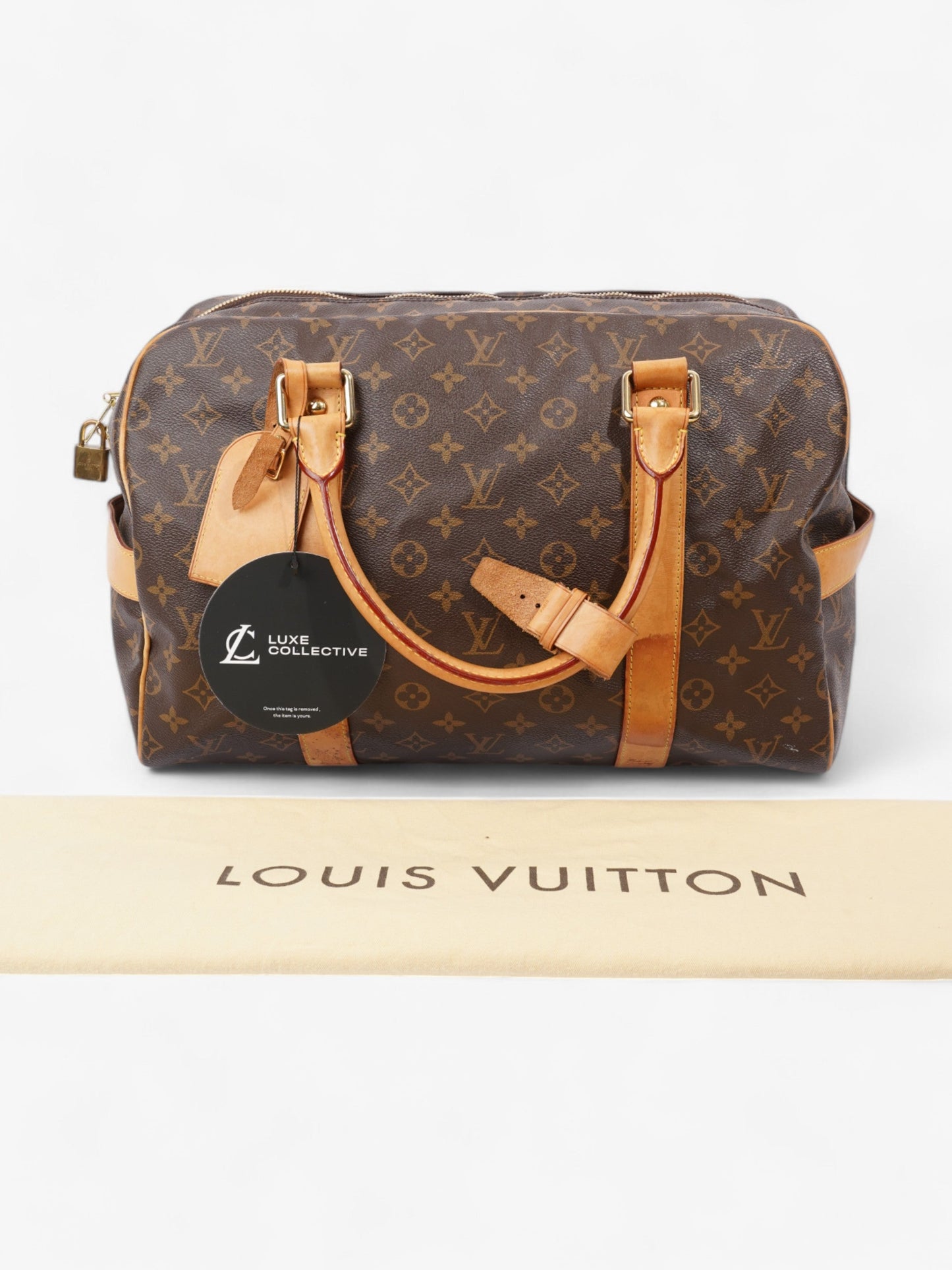 Louis Vuitton Carryall Monogram Coated Canvas