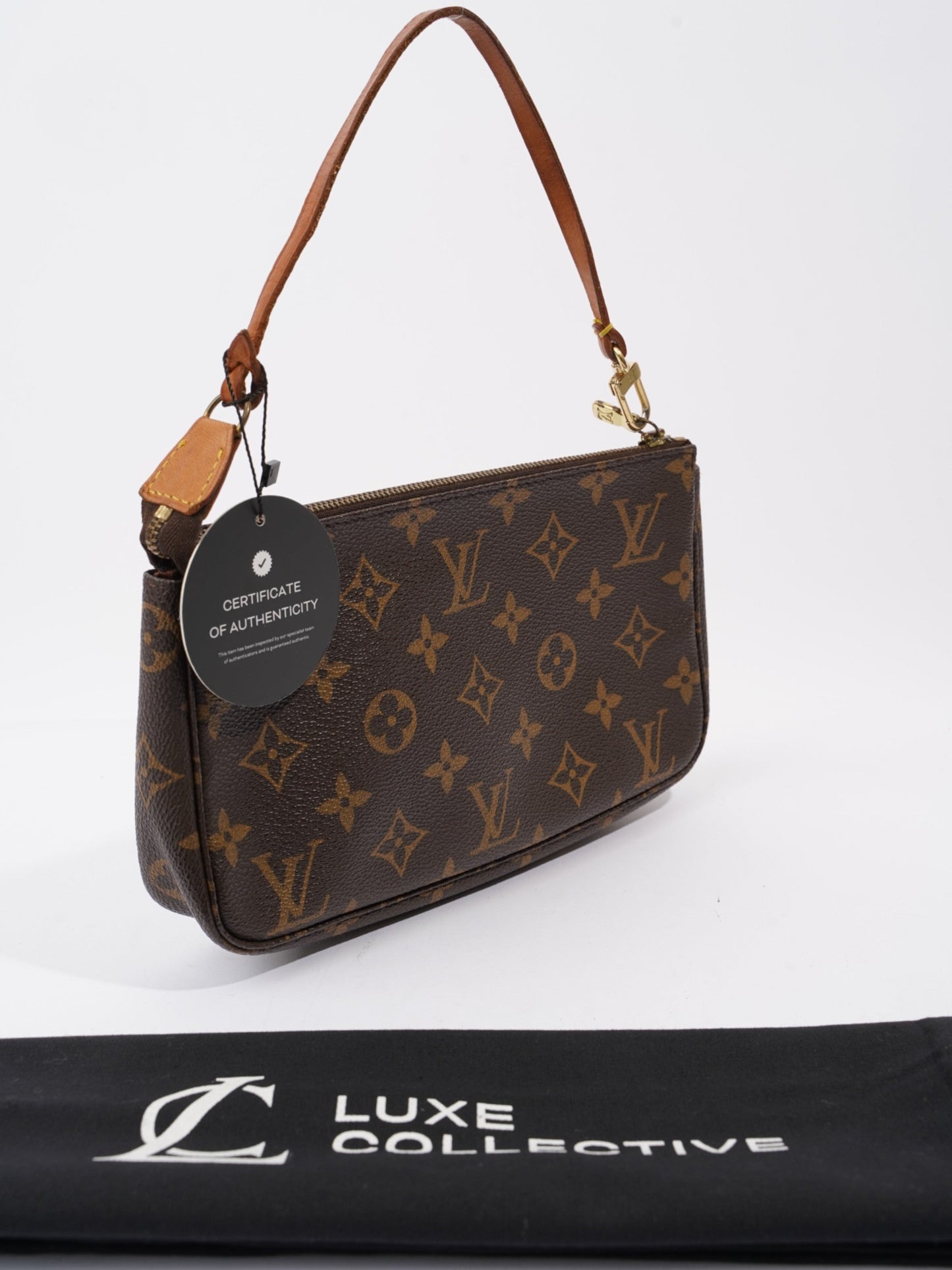 Louis Vuitton Pochette Accessoires Monogram Coated Canvas