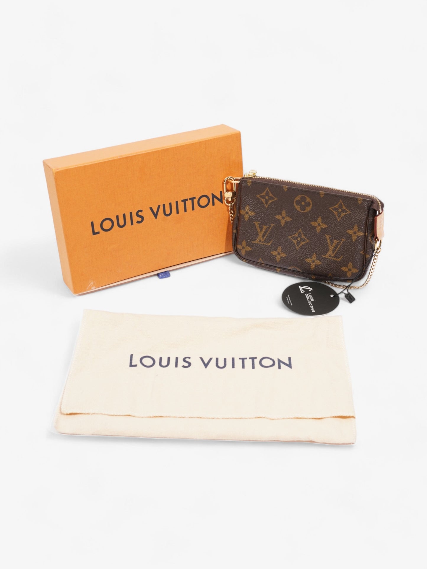 Louis Vuitton Pochette Accessoires Monogram Coated Canvas Mini