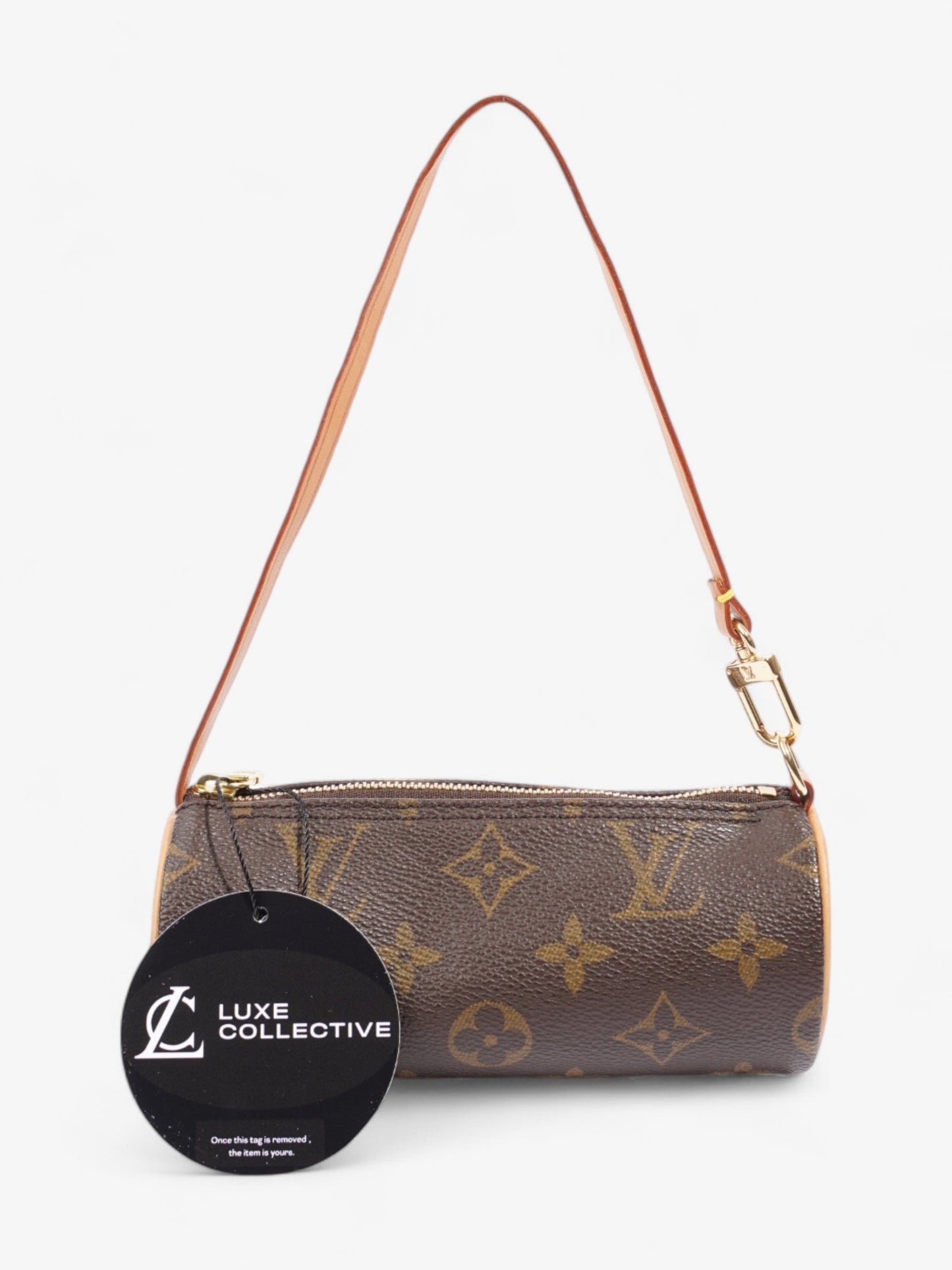 Louis Vuitton Papillon Monogram Coated Canvas Mini