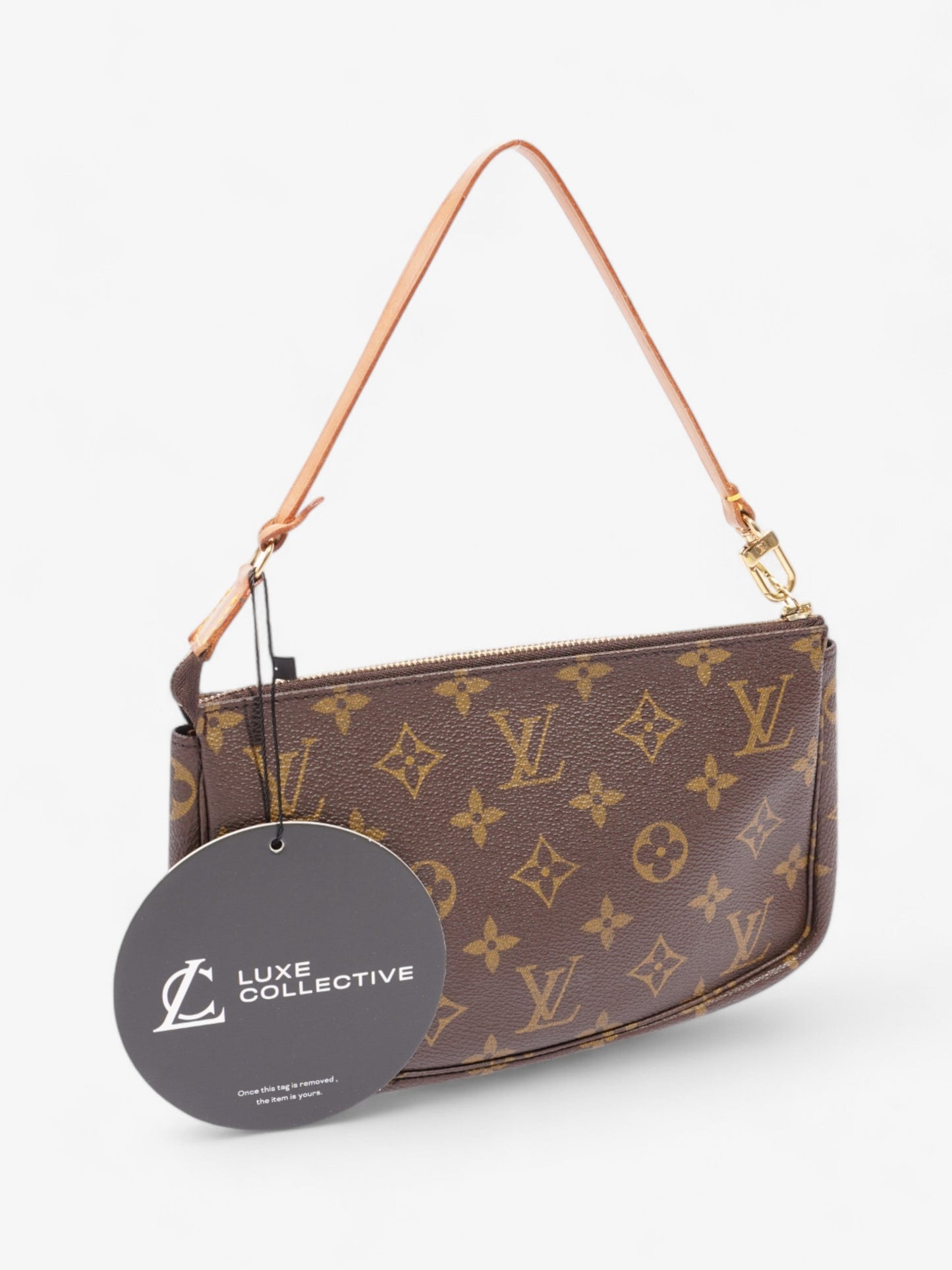 Louis Vuitton Pochette Accessoires Monogram Coated Canvas