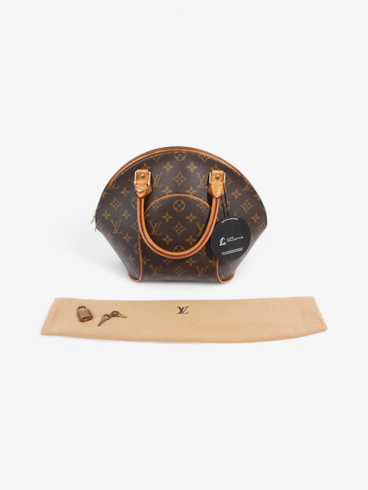 Louis Vuitton Ellipse Monogram Coated Canvas PM