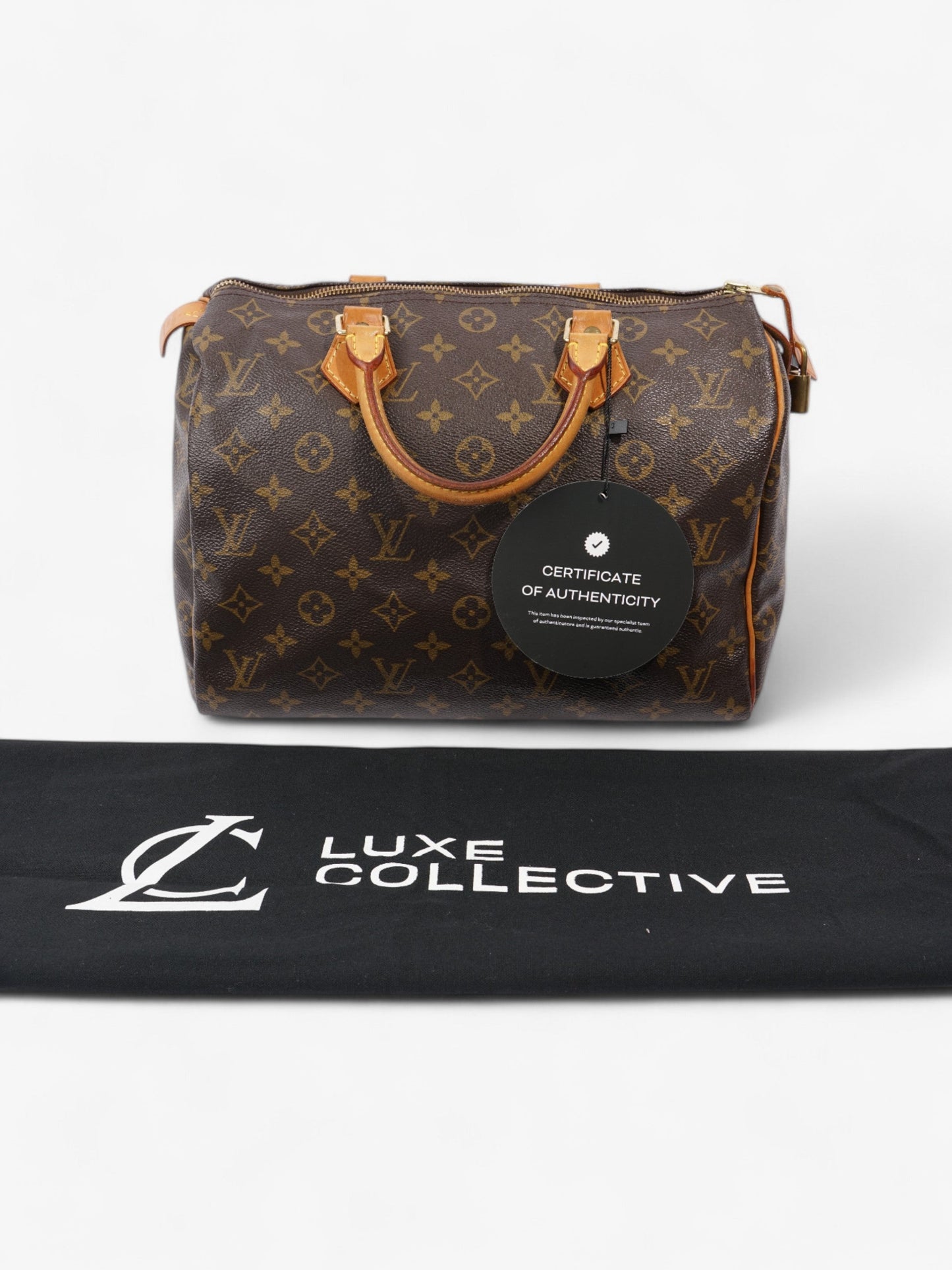 Louis Vuitton Speedy Monogram Canvas 30