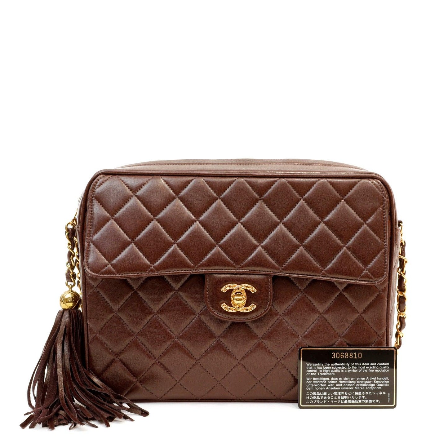 Chanel Chocolate Vintage Camera Bag w/ Gold Hardware