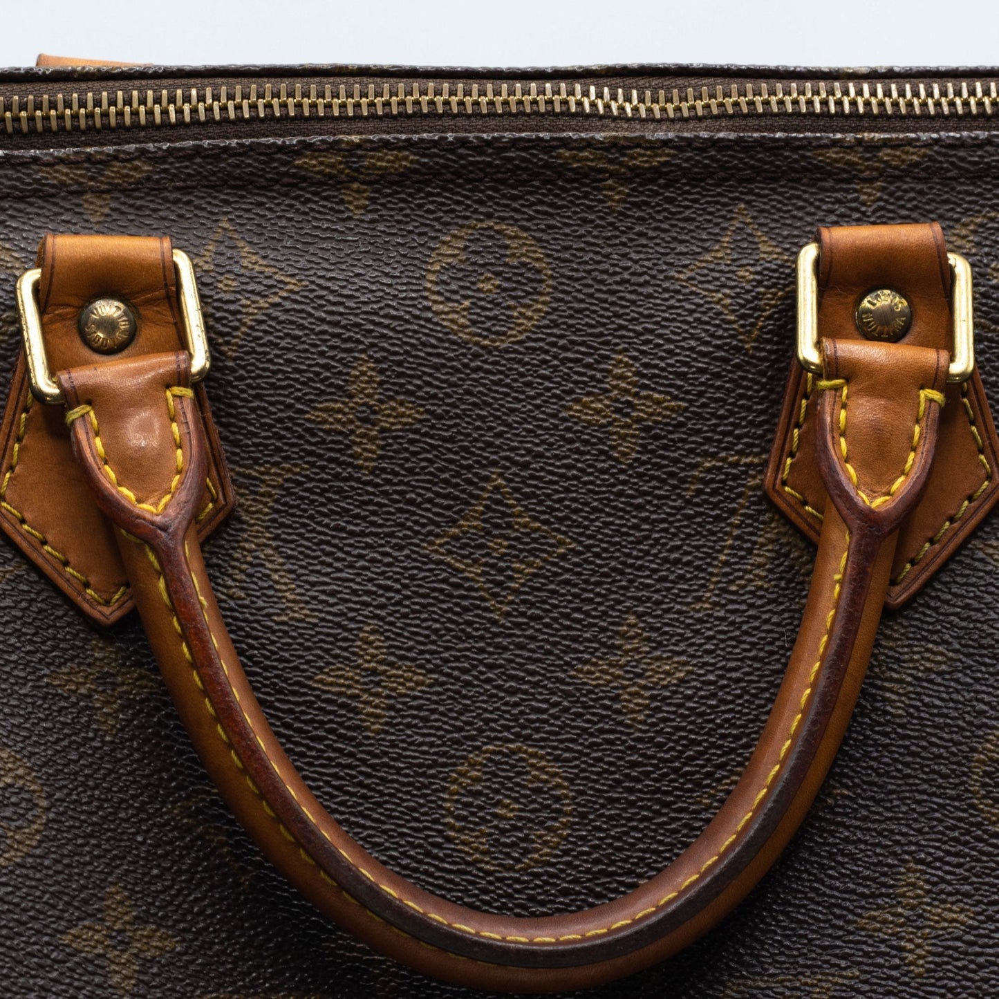 Speedy Monogram 30 M41526
