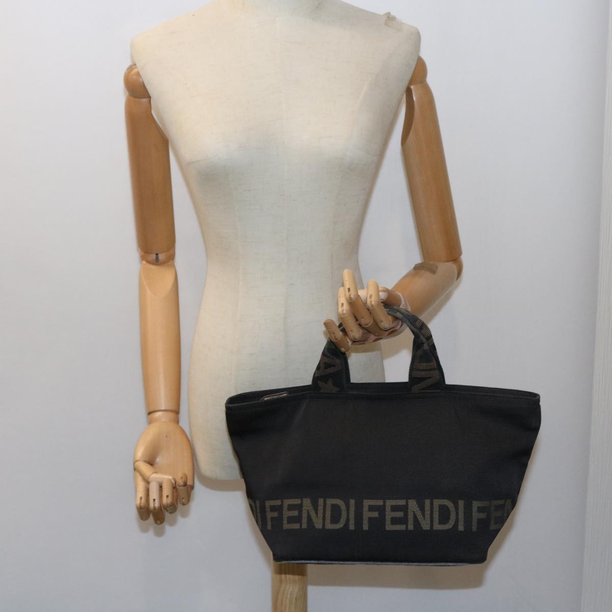 FENDI Hand Bag Canvas Black yk9264