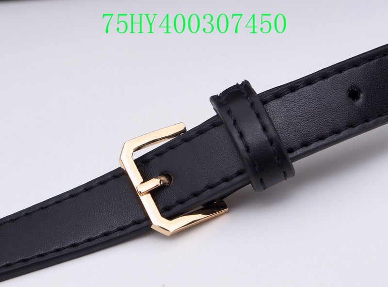 Fan Fashion -GLM - Top quality BBR Bags - 310