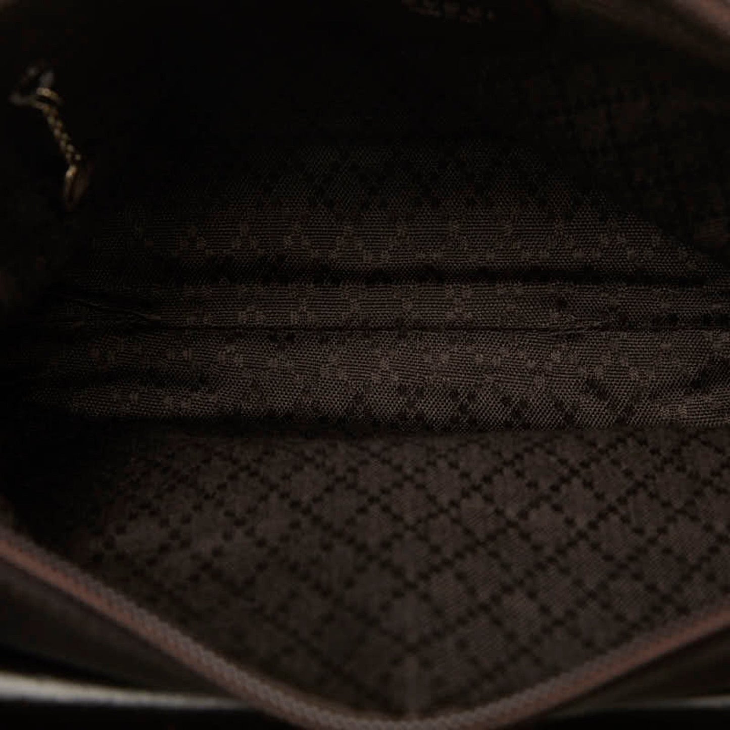 Gucci GG canvas