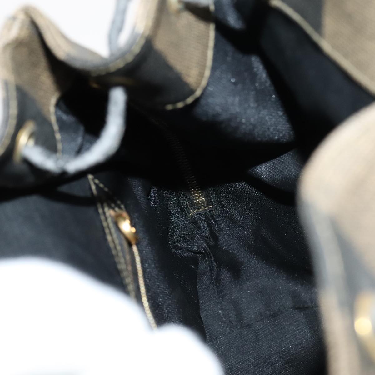 FENDI Pecan Canvas Backpack PVC Brown Black Gold 105418