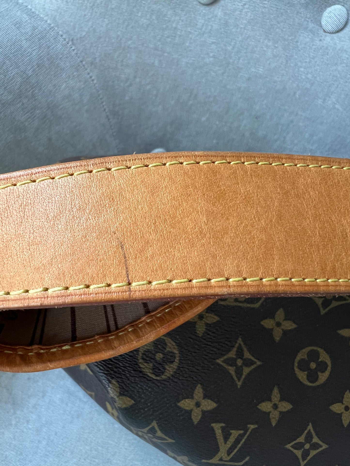 Louis Vuitton Delightful MM Monogram