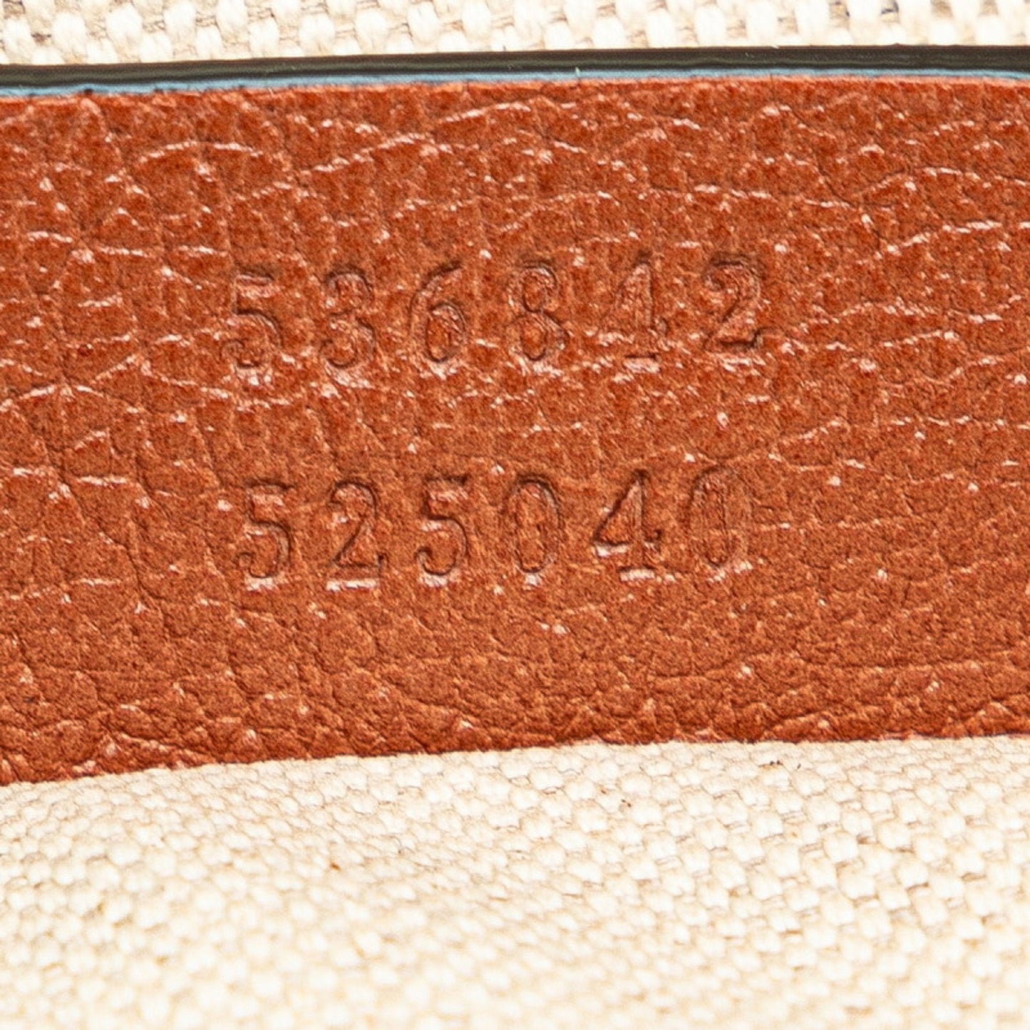Gucci GG canvas