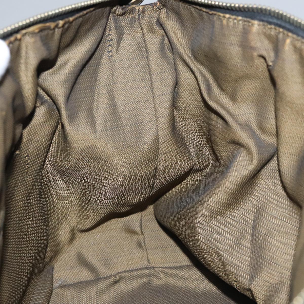 FENDI Zucca Canvas Hand Bag Brown Black gold 109159