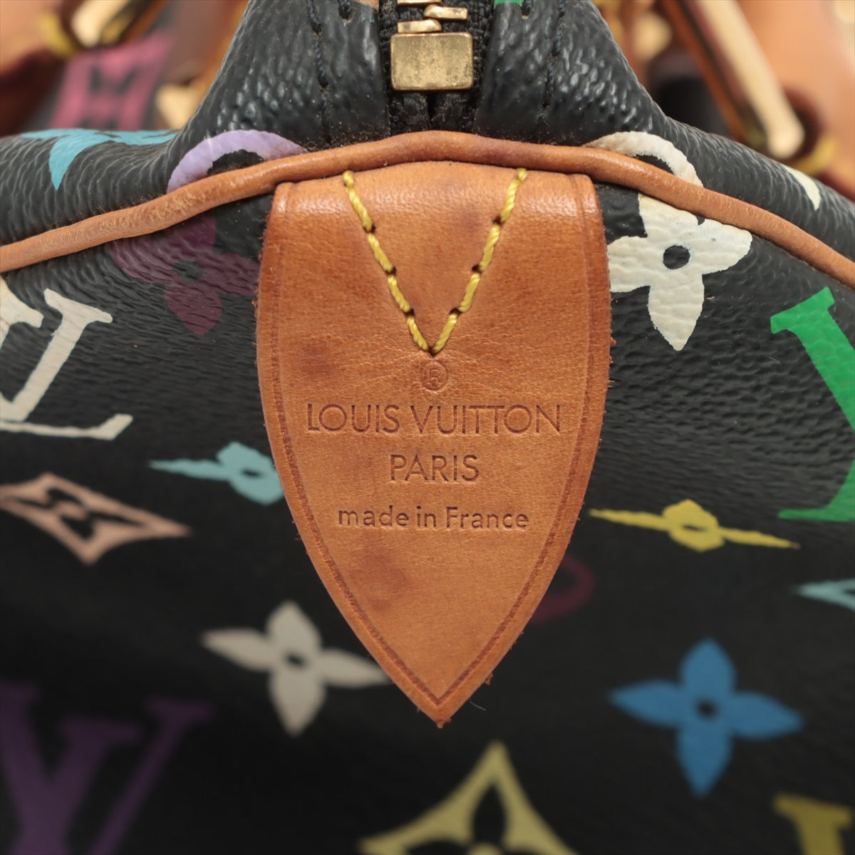 Louis Vuitton Multicolor Speedy 30