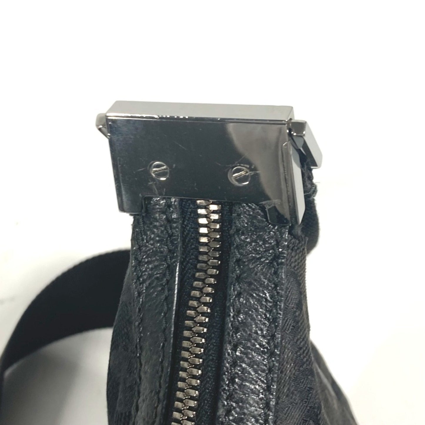 Gucci GG canvas