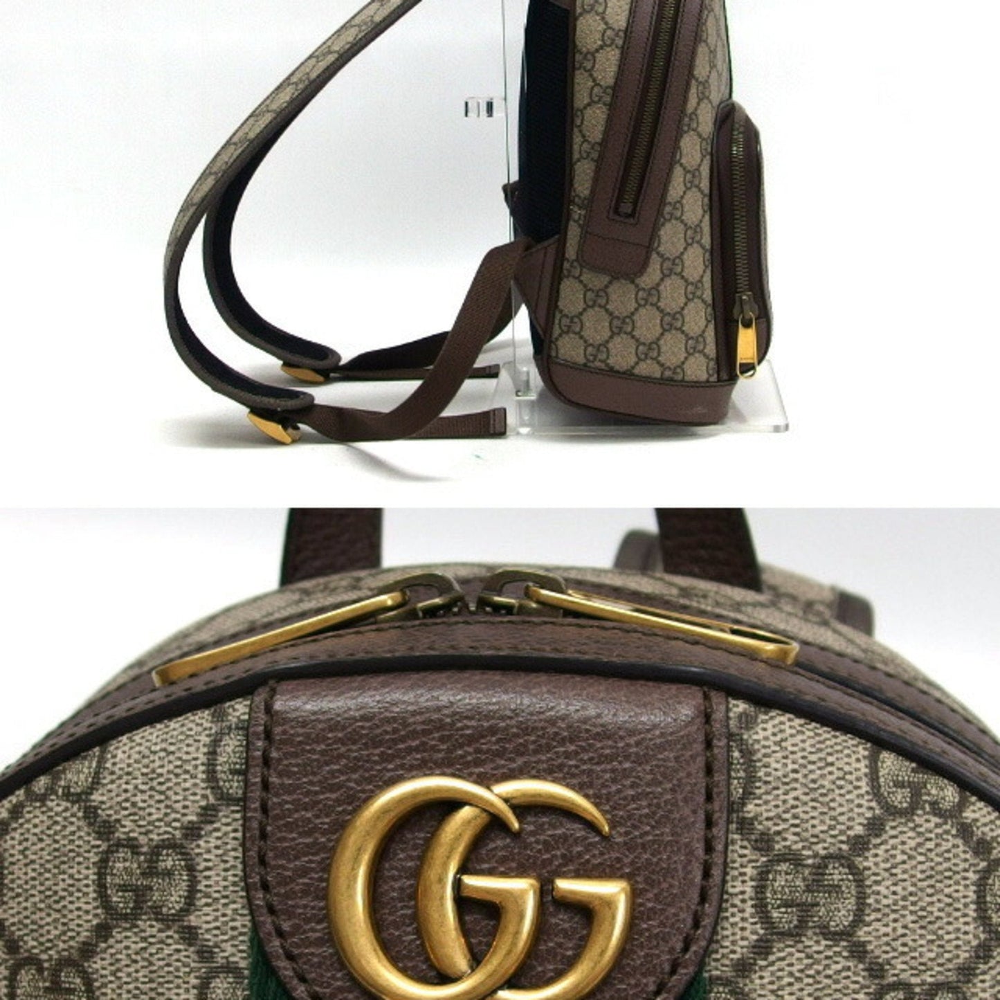 Gucci Ophidia
