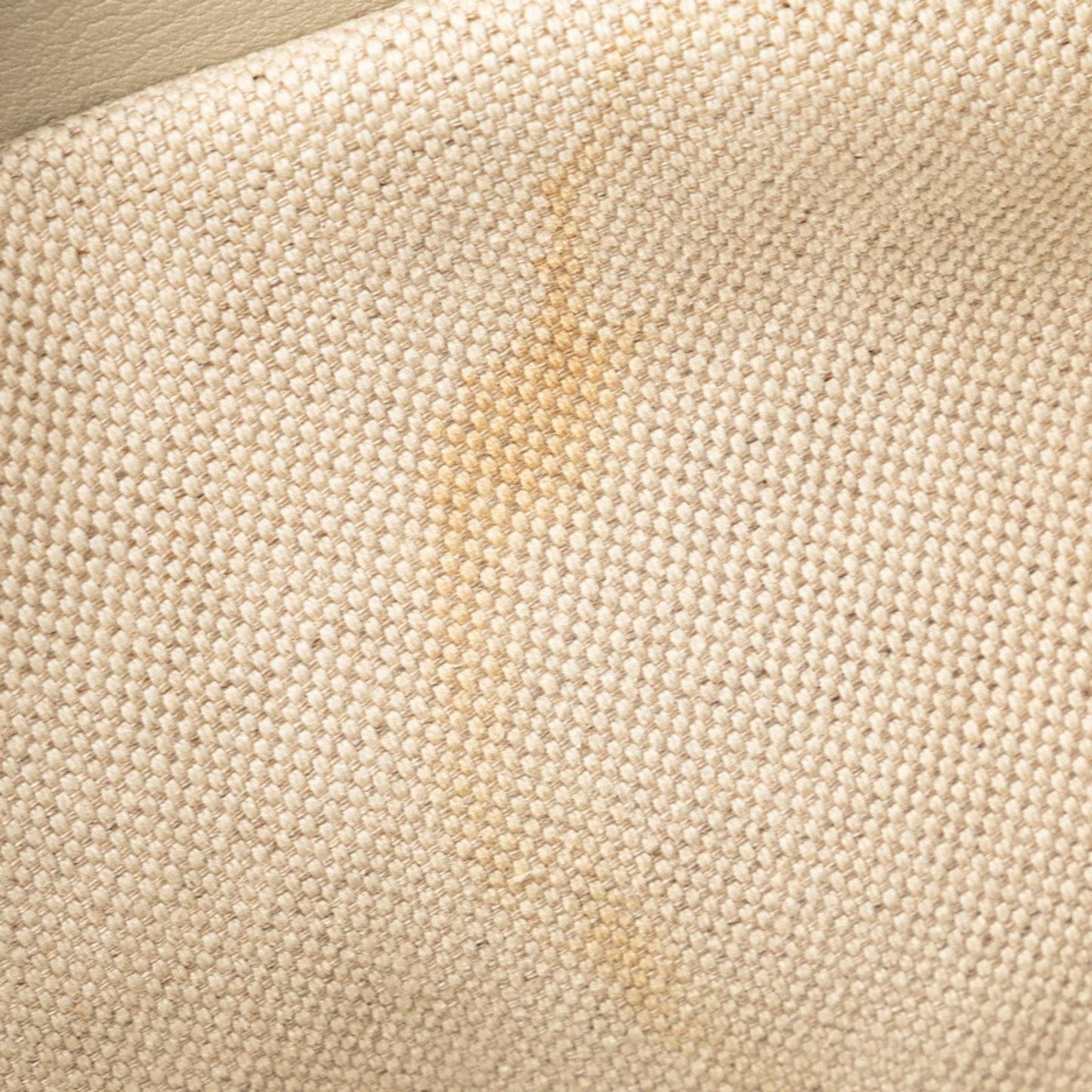 Gucci GG canvas