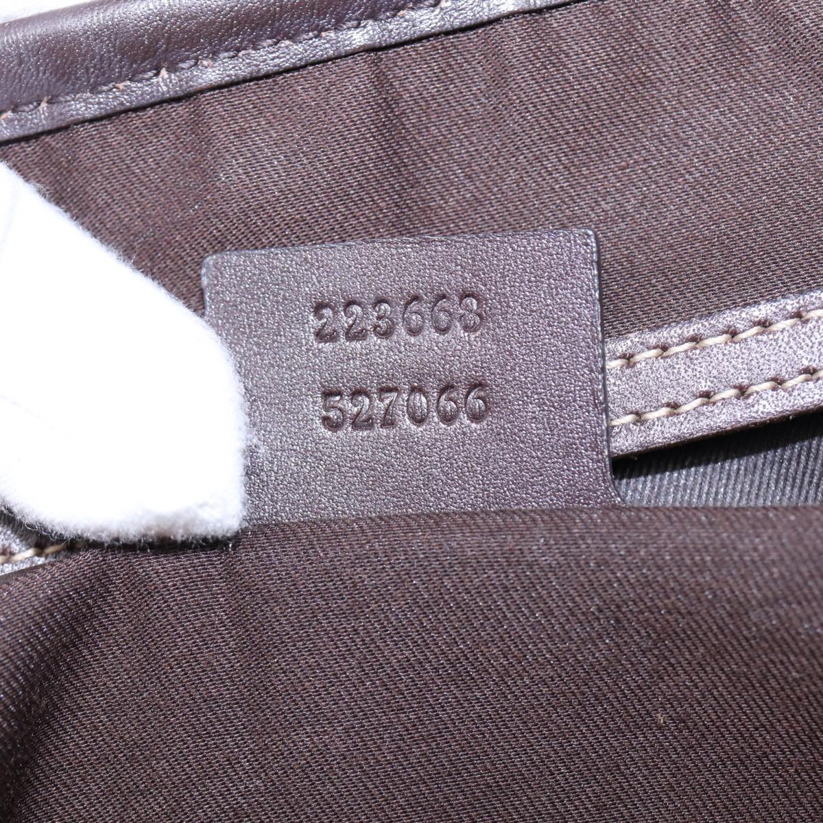Gucci GG canvas