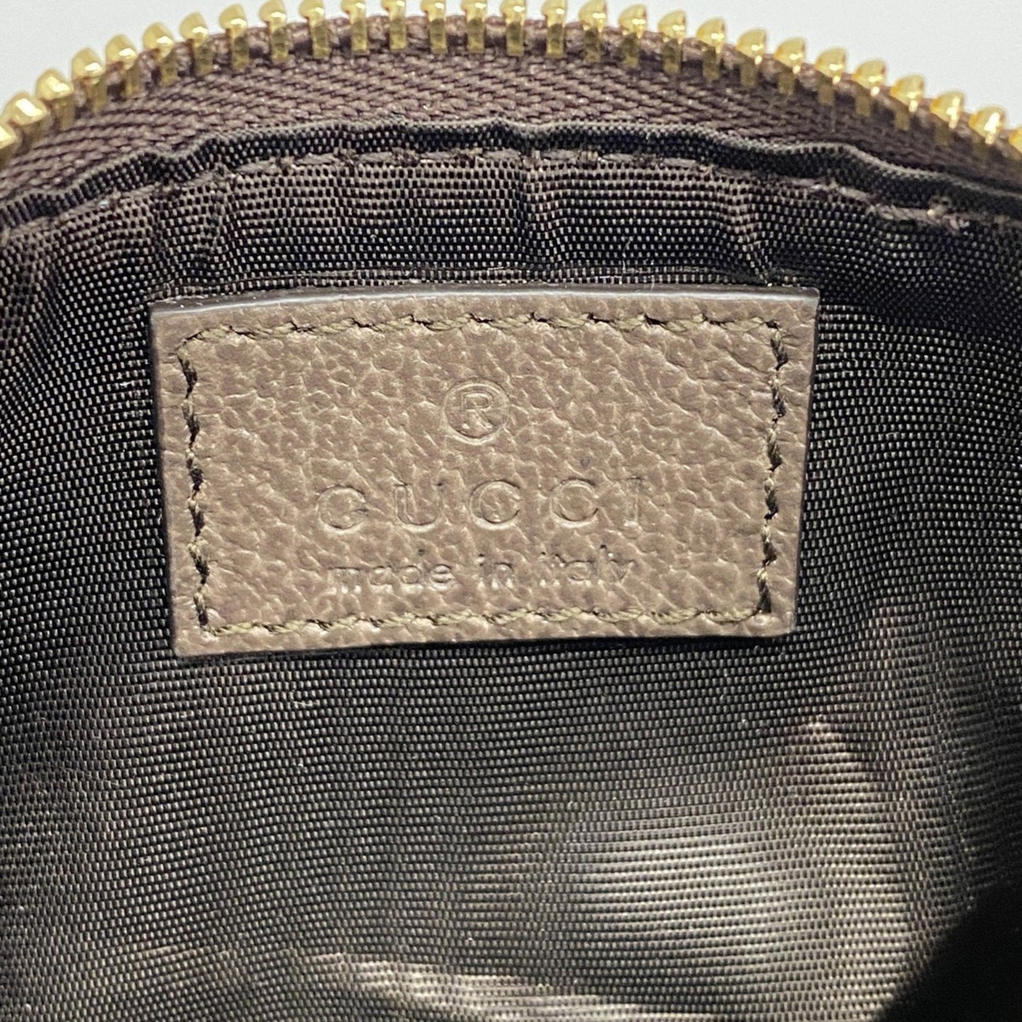 Gucci GG canvas