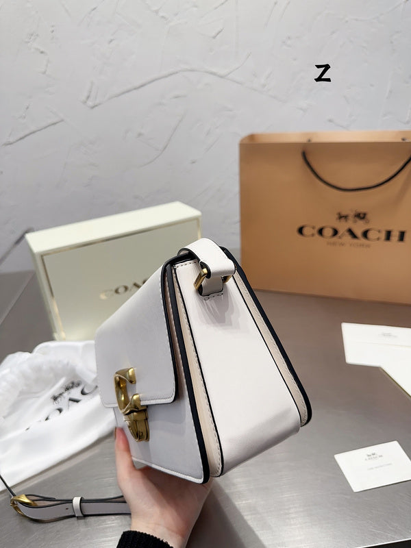 Satchel Bags - CCH Bags - 382