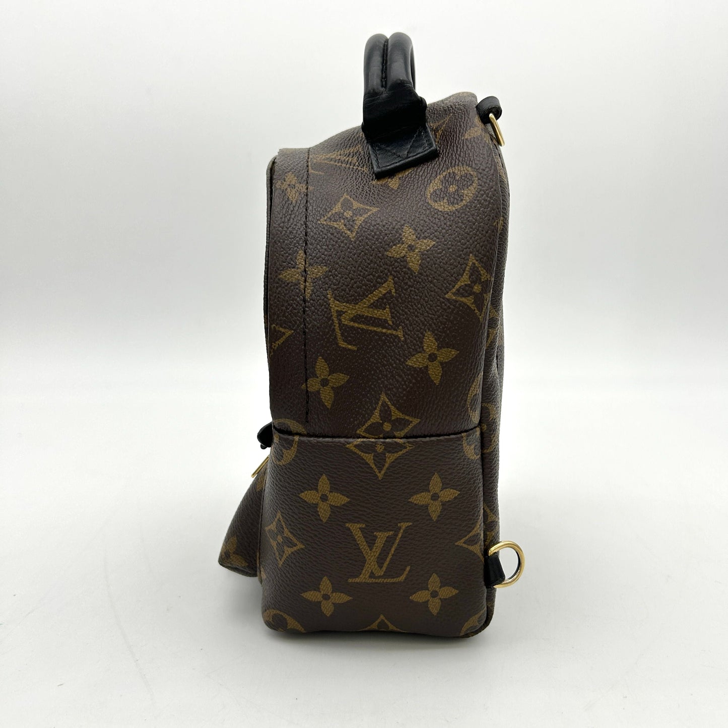 Louis Vuitton LV Monogram Palm Springs LA28323
