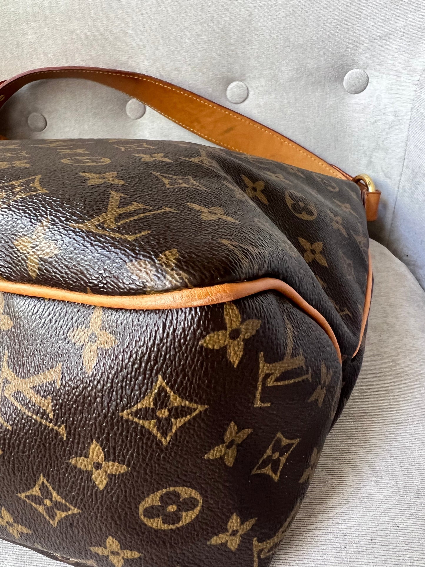 Louis Vuitton Delightful MM Monogram