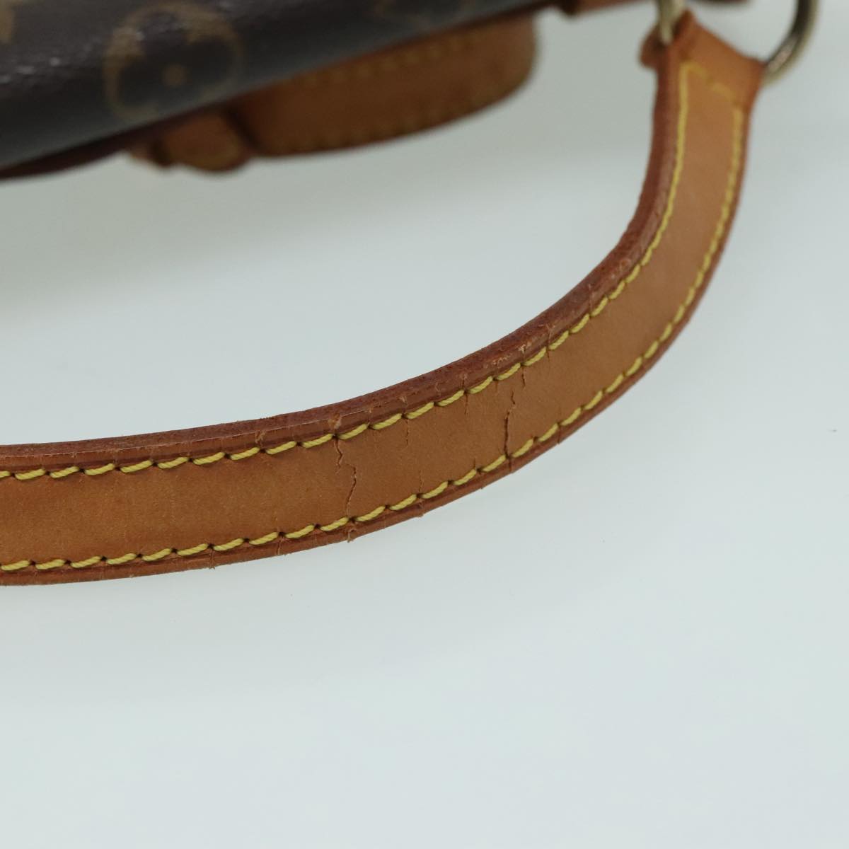 Monogram Canvas Brevity Crossbody Bag