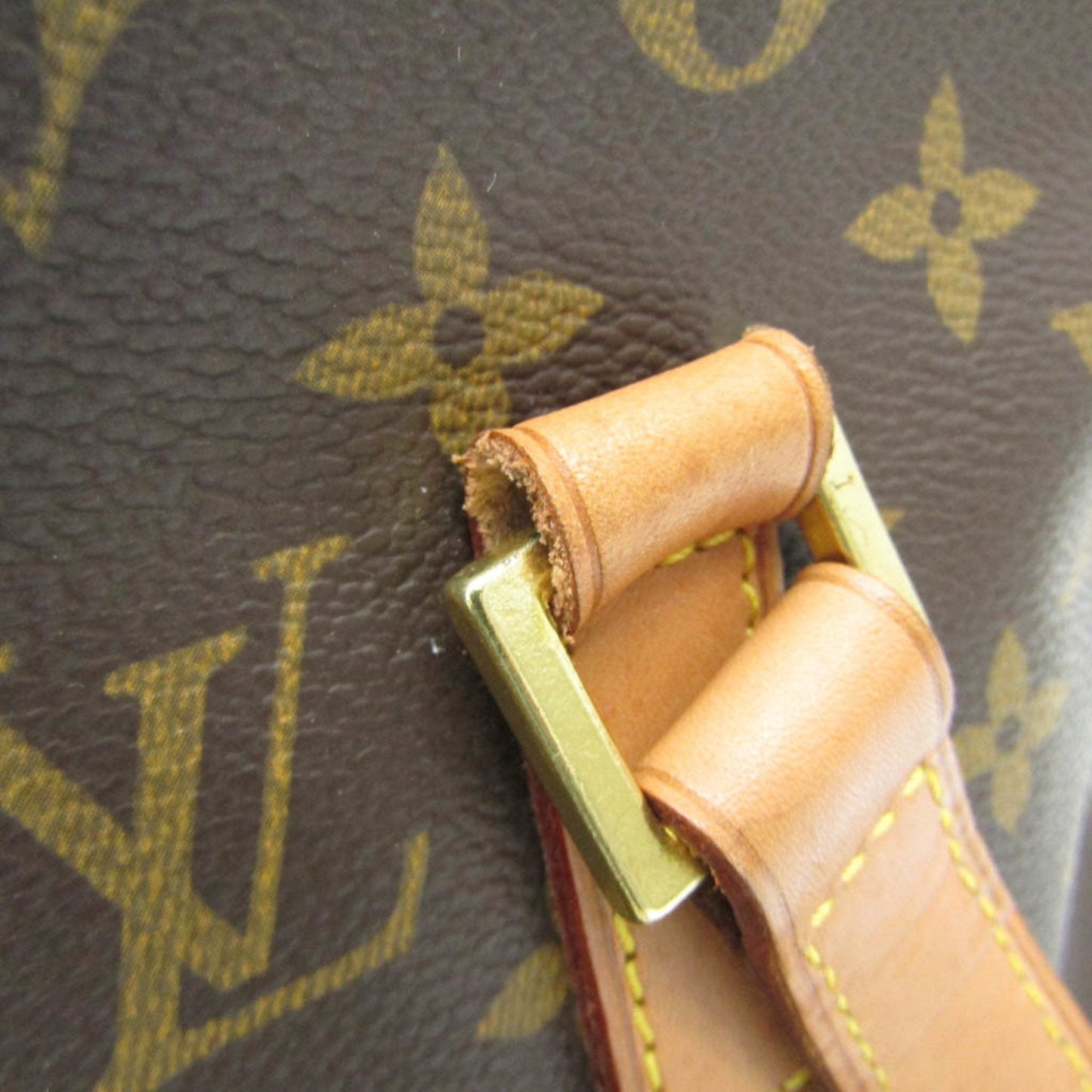 Mini Lin Tote Monogram Canvas